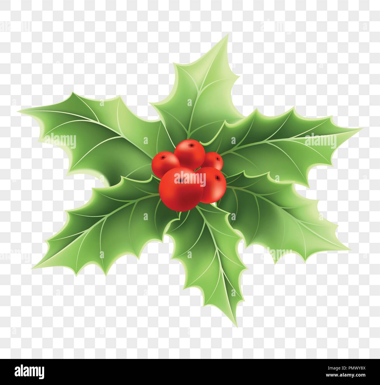 Christmas holly branch realistic illustration Stock Vector Image & Art