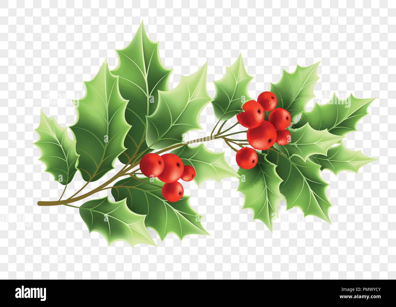 Christmas holly tree branch realistic illustration Stock Vector Image ...