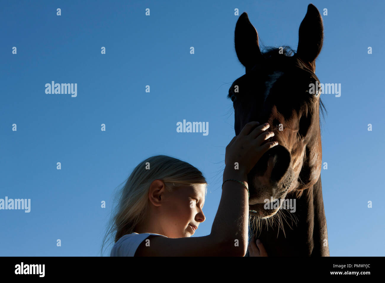 Girl petting muzzle of horse under blue sky Stock Photo Alamy