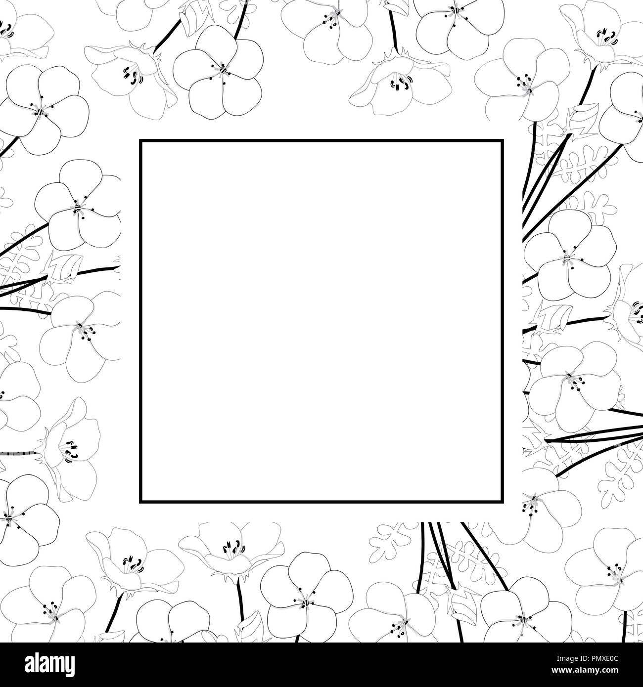 Nemophila Baby Blue Eyes Flower  Banner Card Outline. Vector Illustration. Stock Vector