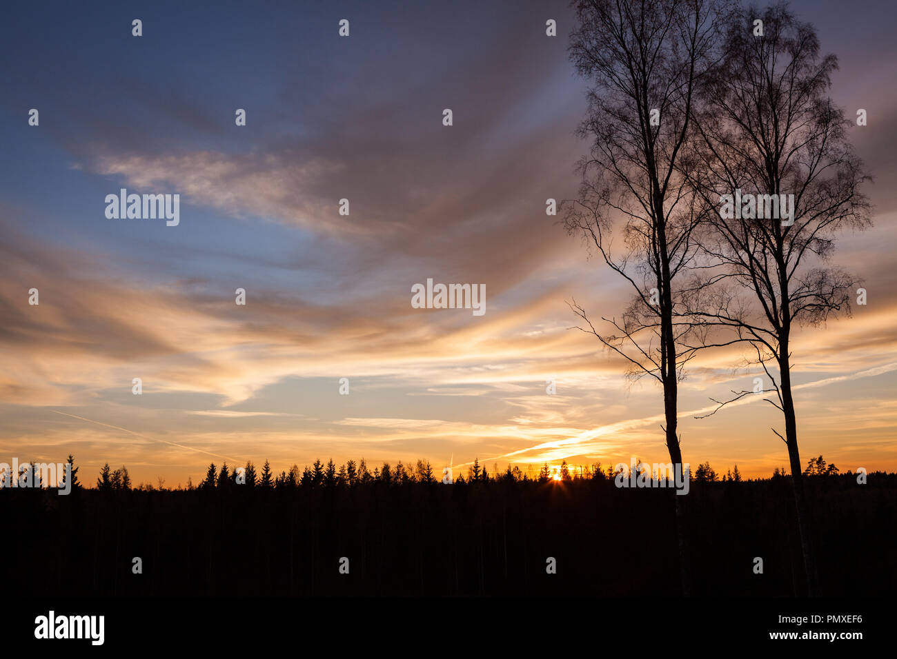 Trees and sunset in Finland Stock Photo