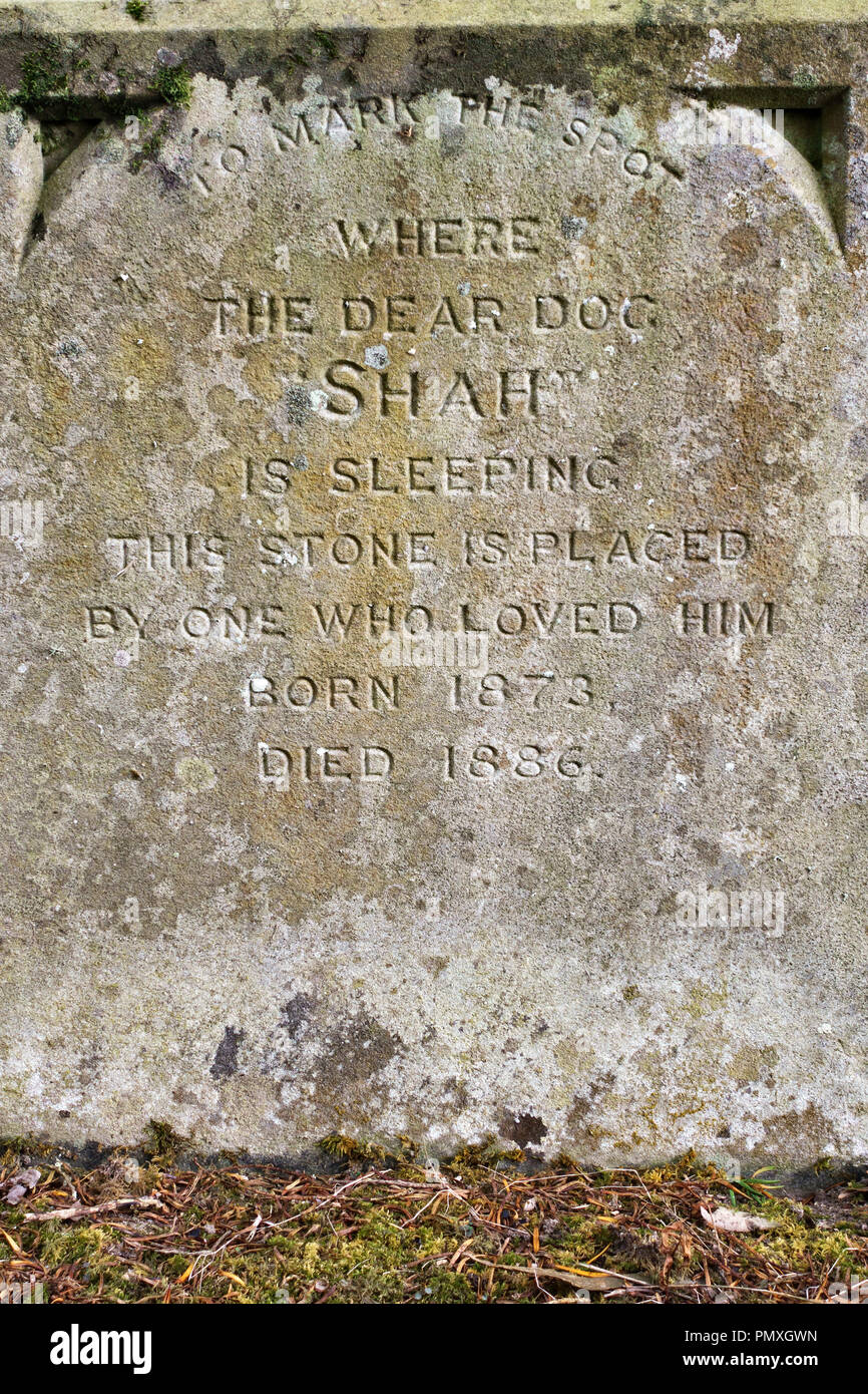 Tresillian House, Newquay, Cornwall, UK. A dog's gravestone in the family pet cemetery Stock Photo
