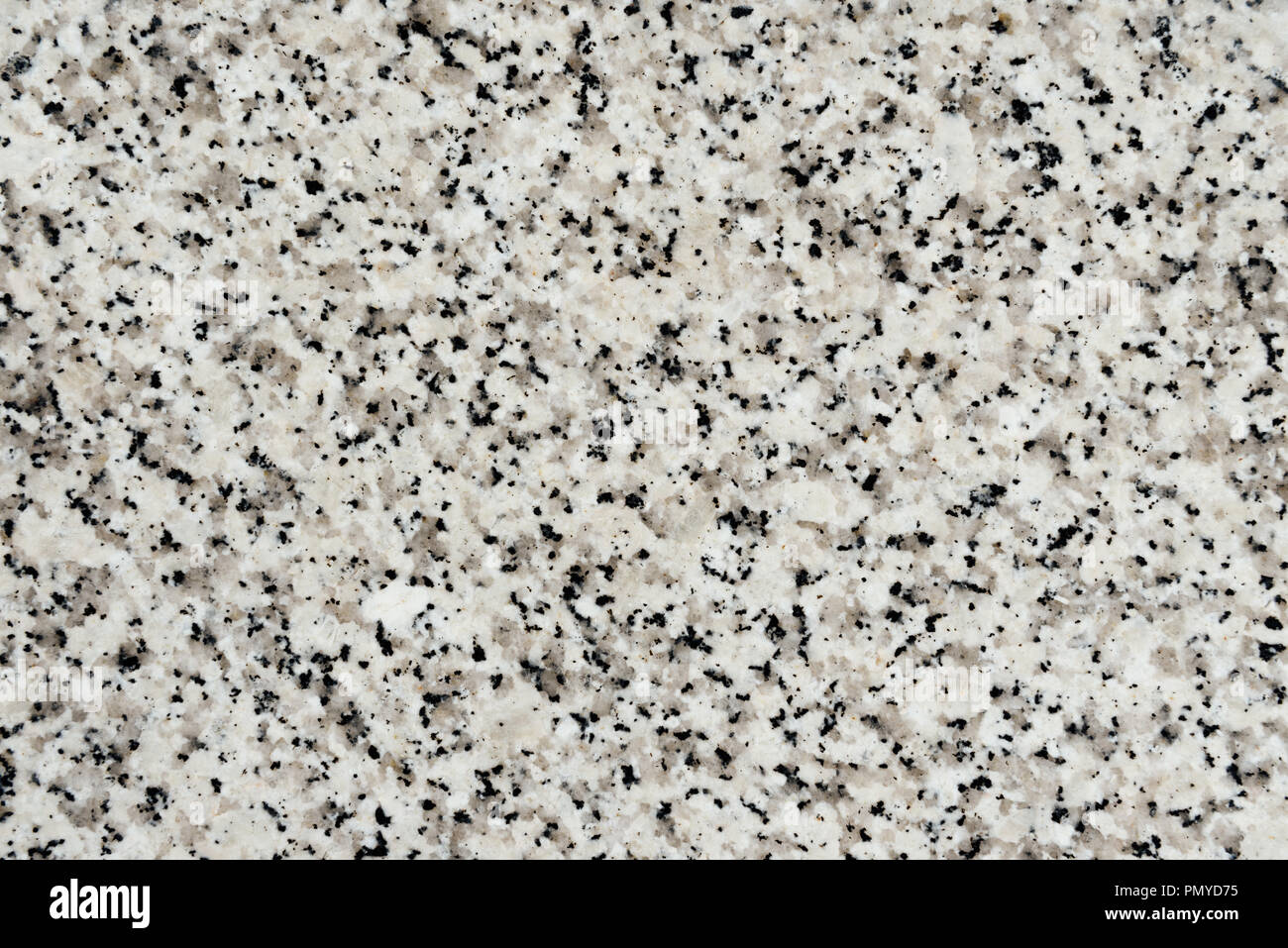 abstract texture of light marble stone with black dots Stock Photo Alamy