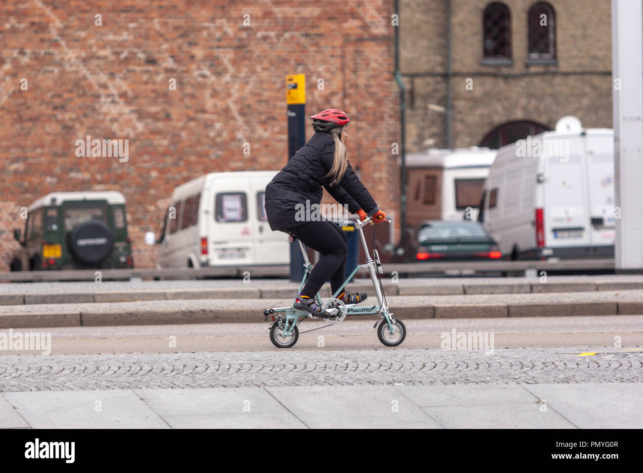 carry me bicycle