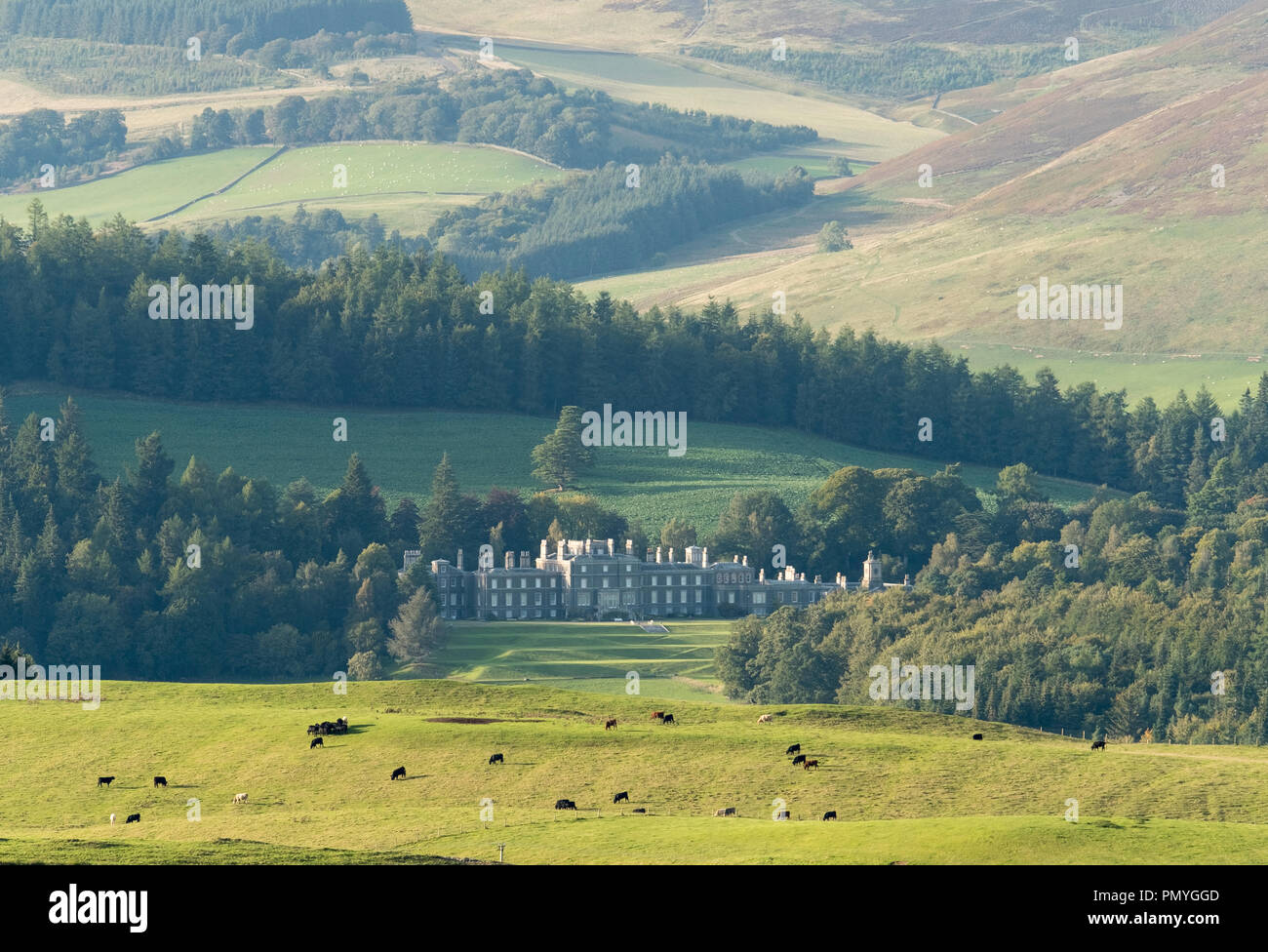 Bowhill House near Selkirk, Scottish Borders home of the Duke of Buccleuch. Stock Photo