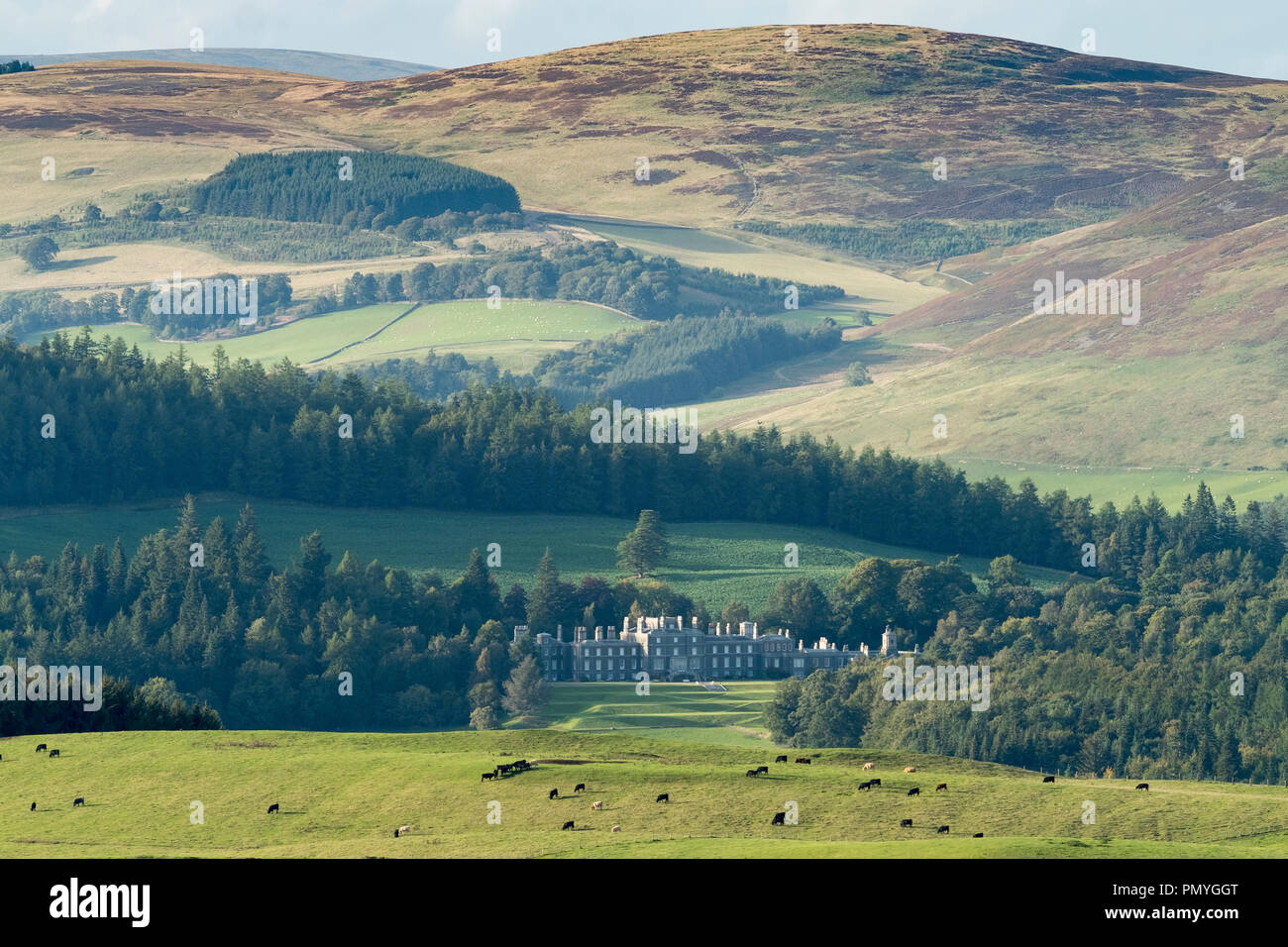 Bowhill House near Selkirk, Scottish Borders home of the Duke of Buccleuch. Stock Photo