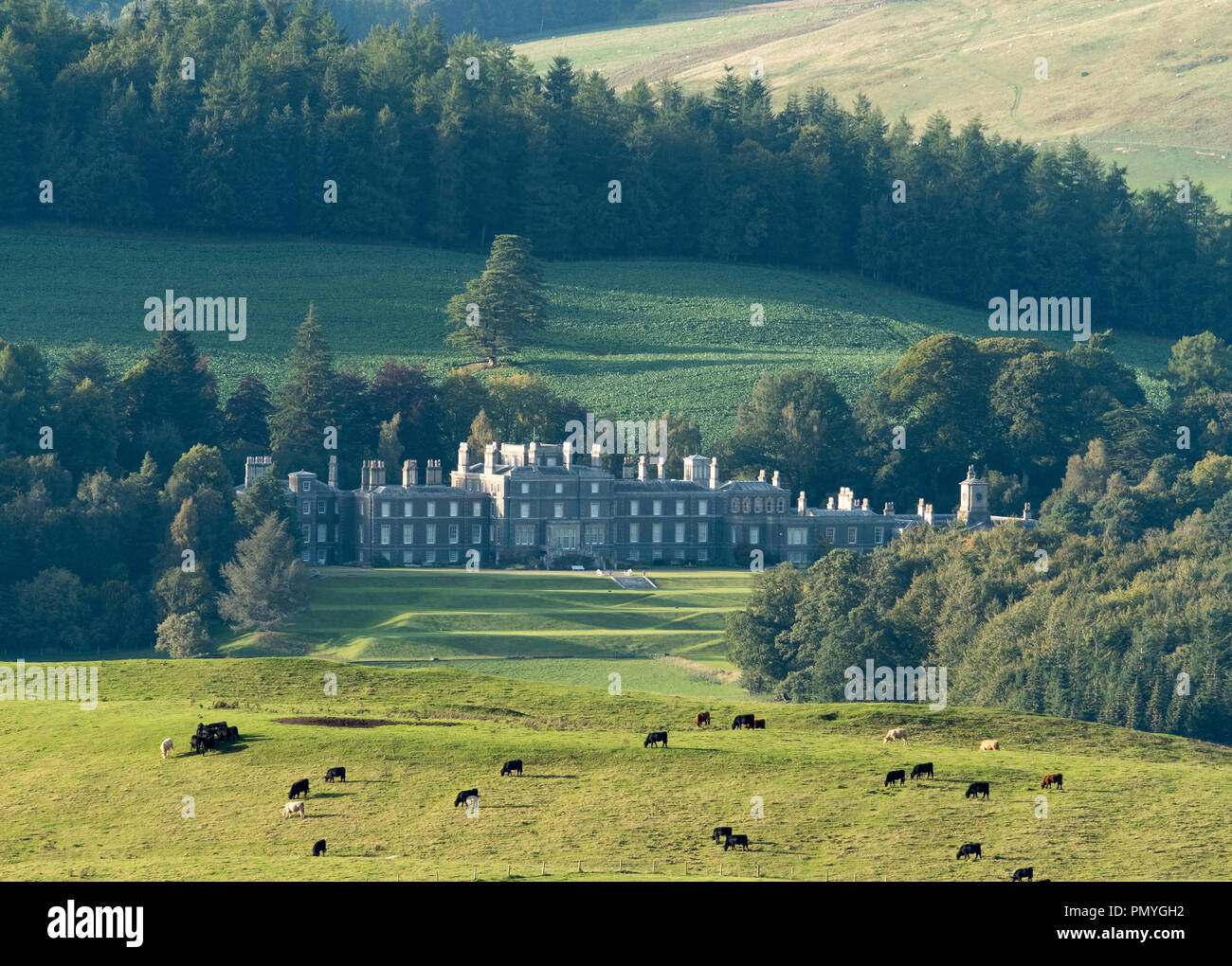 Bowhill House near Selkirk, Scottish Borders home of the Duke of Buccleuch. Stock Photo