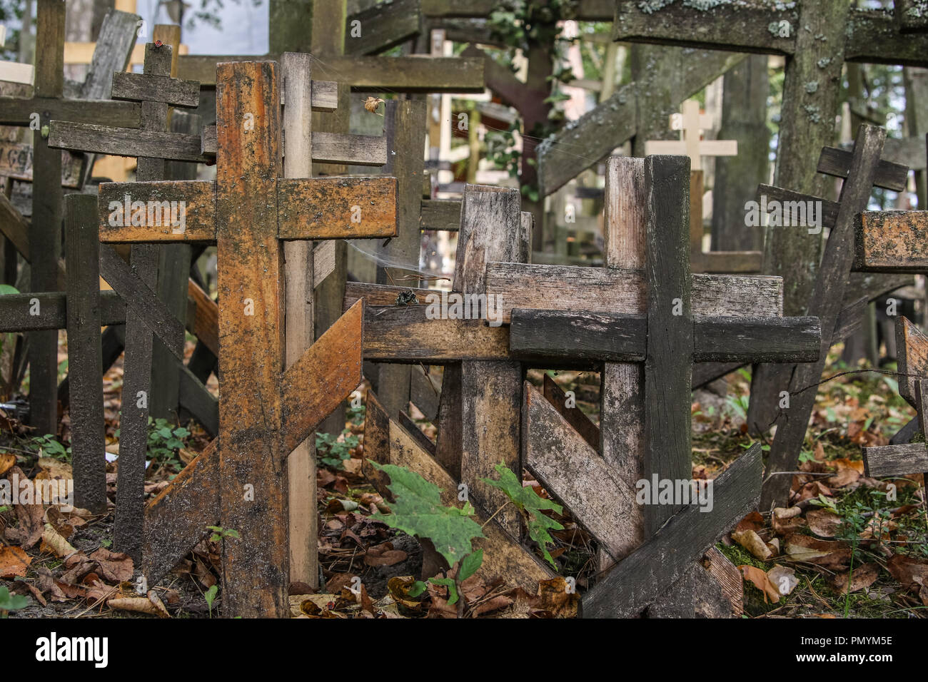 Grabarka, Poland. 09th Sep, 2018. Thousands of Russian Orthodox crosses,  also known as Orthodox or Byzantine or Suppedaneum crosses are seen .Small  cross-covered hill Swieta Gora Grabarka located in eastern Poland is