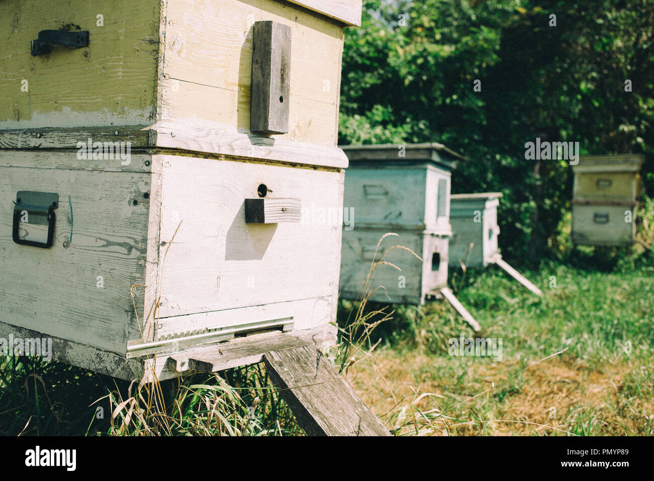an old Hives of bees in the apiary Stock Photo - Alamy