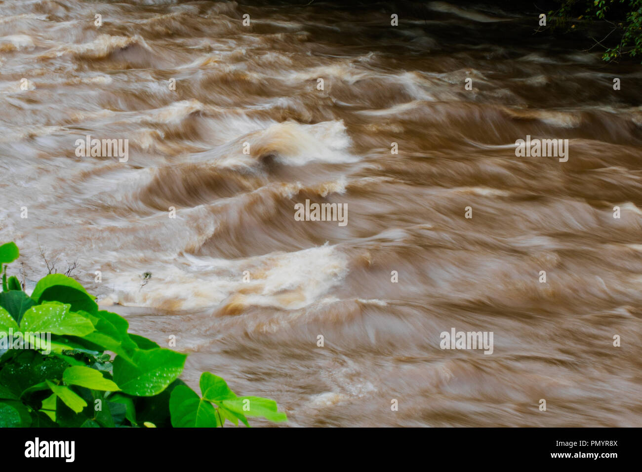 Time-exposure of standing waves in the muddy, rushing waters of the Readdies River after Hurricane Florence. Stock Photo