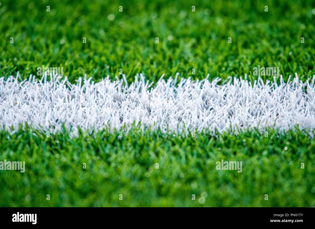Green grass soccer field close-up background. Stock Photo