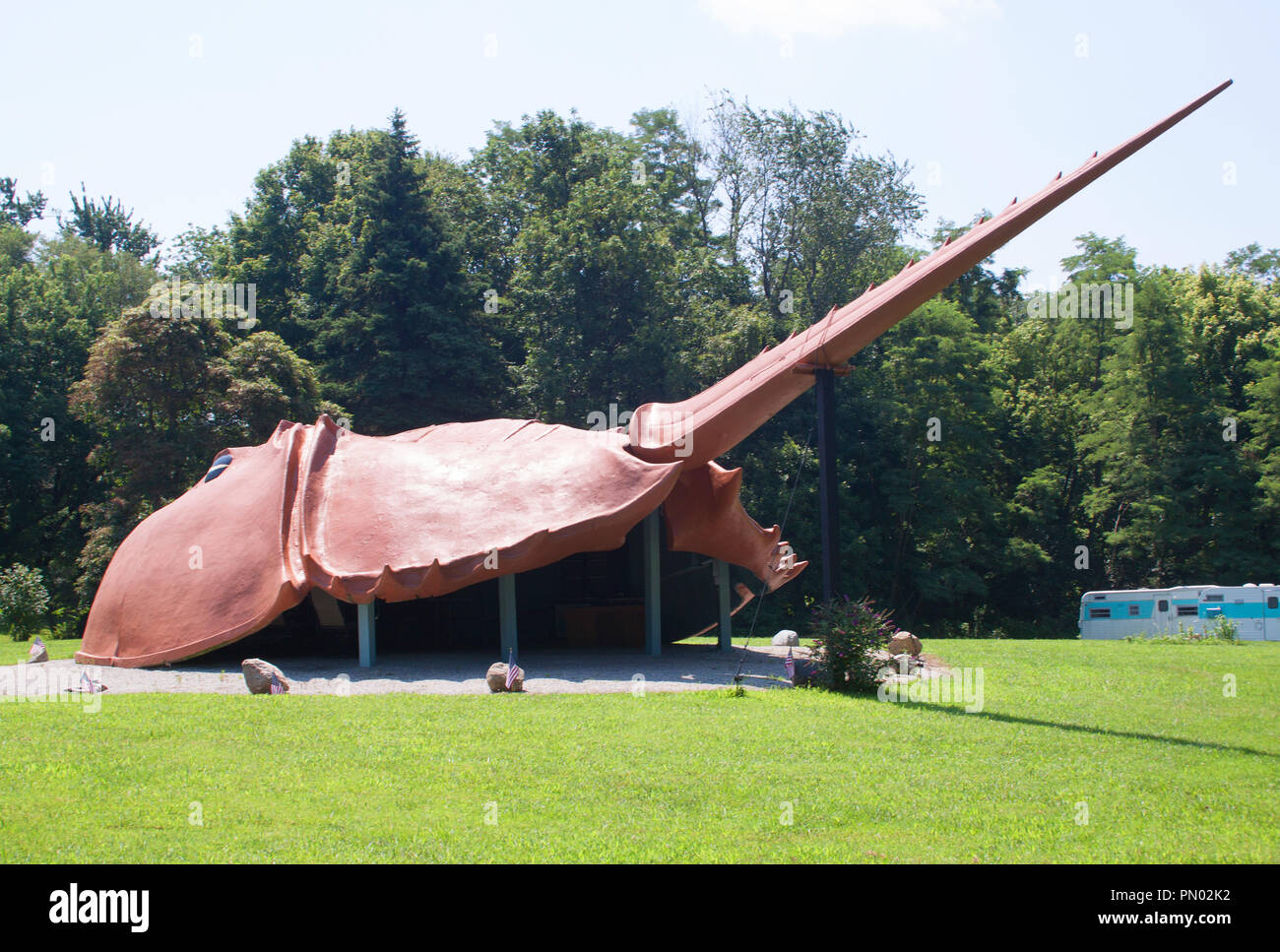 World's Largest Horseshoe Crab in Hilsboro Ohio Stock Photo Alamy