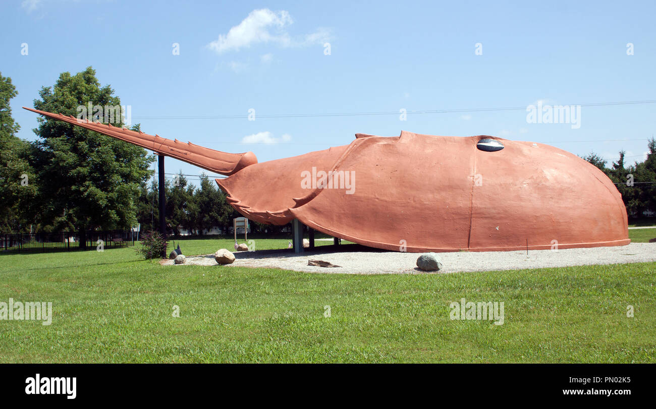 World's Largest Horseshoe Crab in Hilsboro Ohio Stock Photo Alamy