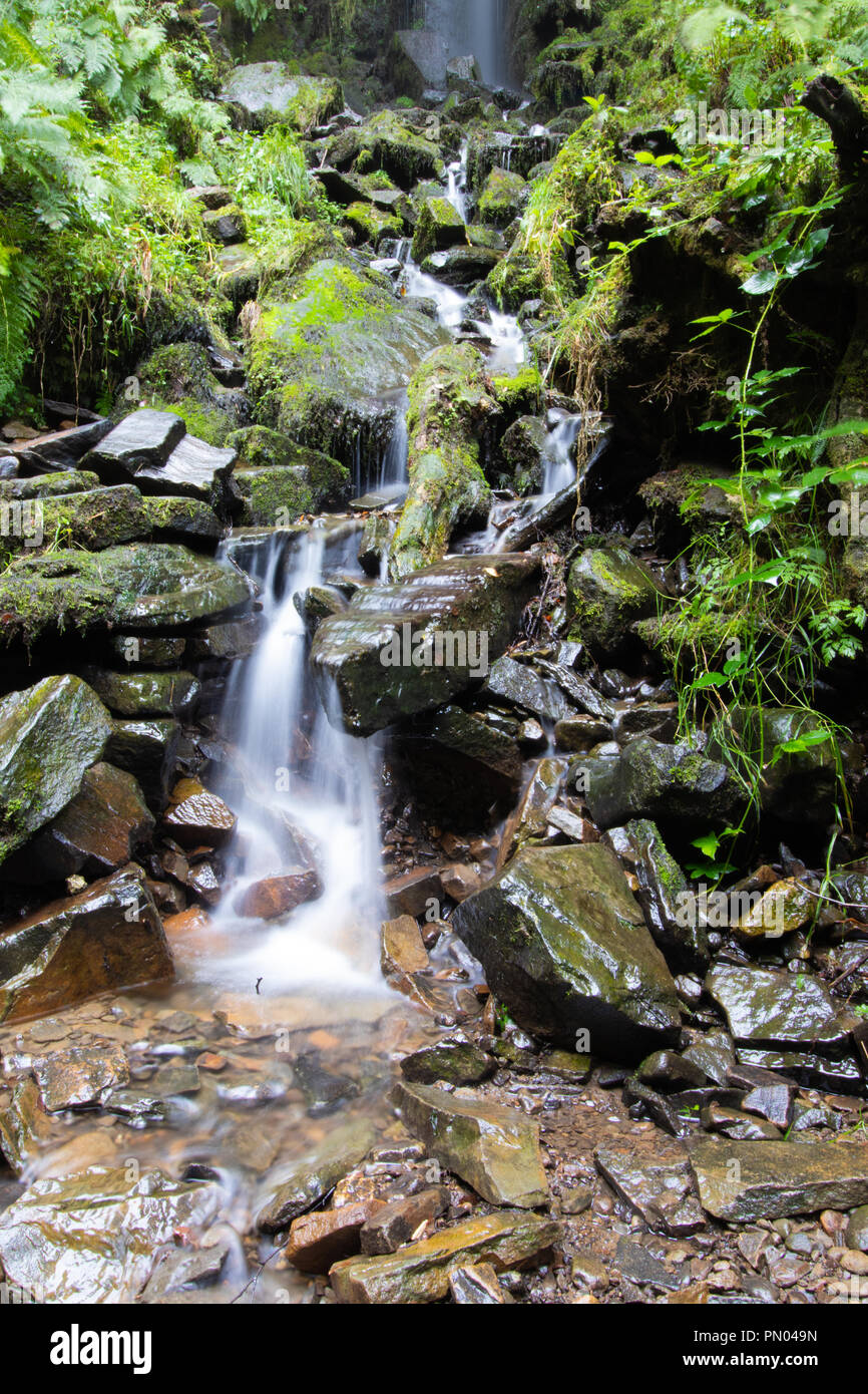 Melincourt Waterfall Stock Photo