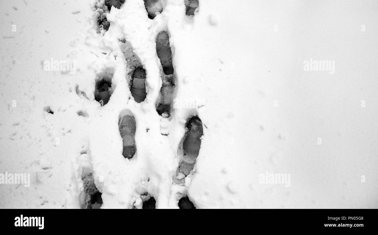 Footprints in the snow. Footprints on the first snow. Imprint an Stock