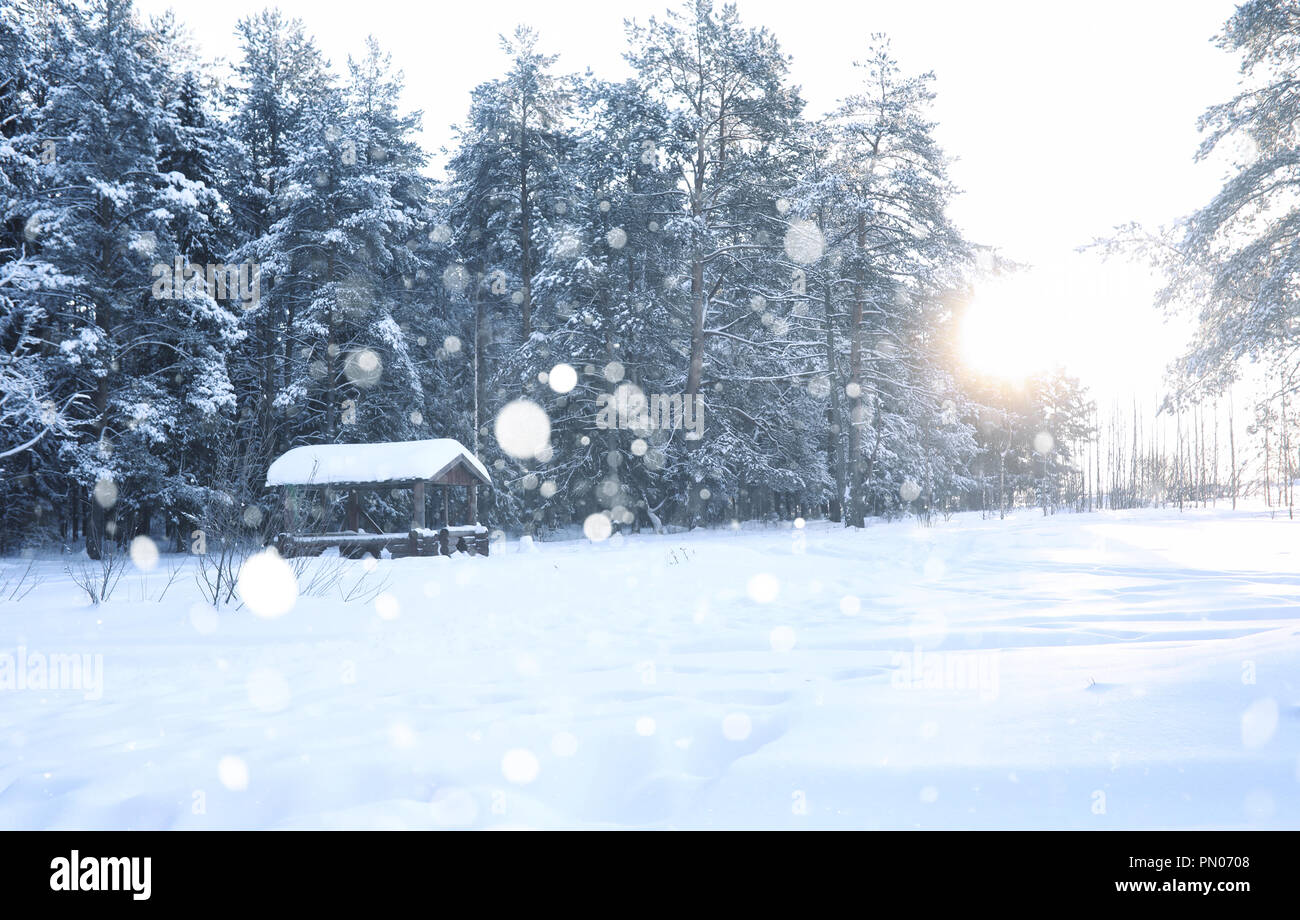 wooden gazebo in forest in the winter snow blizzard Stock Photo - Alamy
