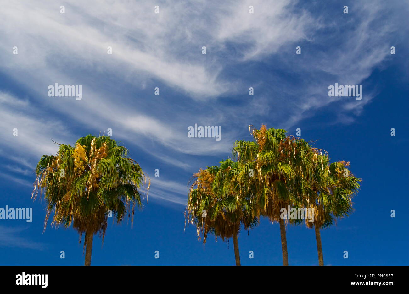 Reach for the sky hi-res stock photography and images - Alamy