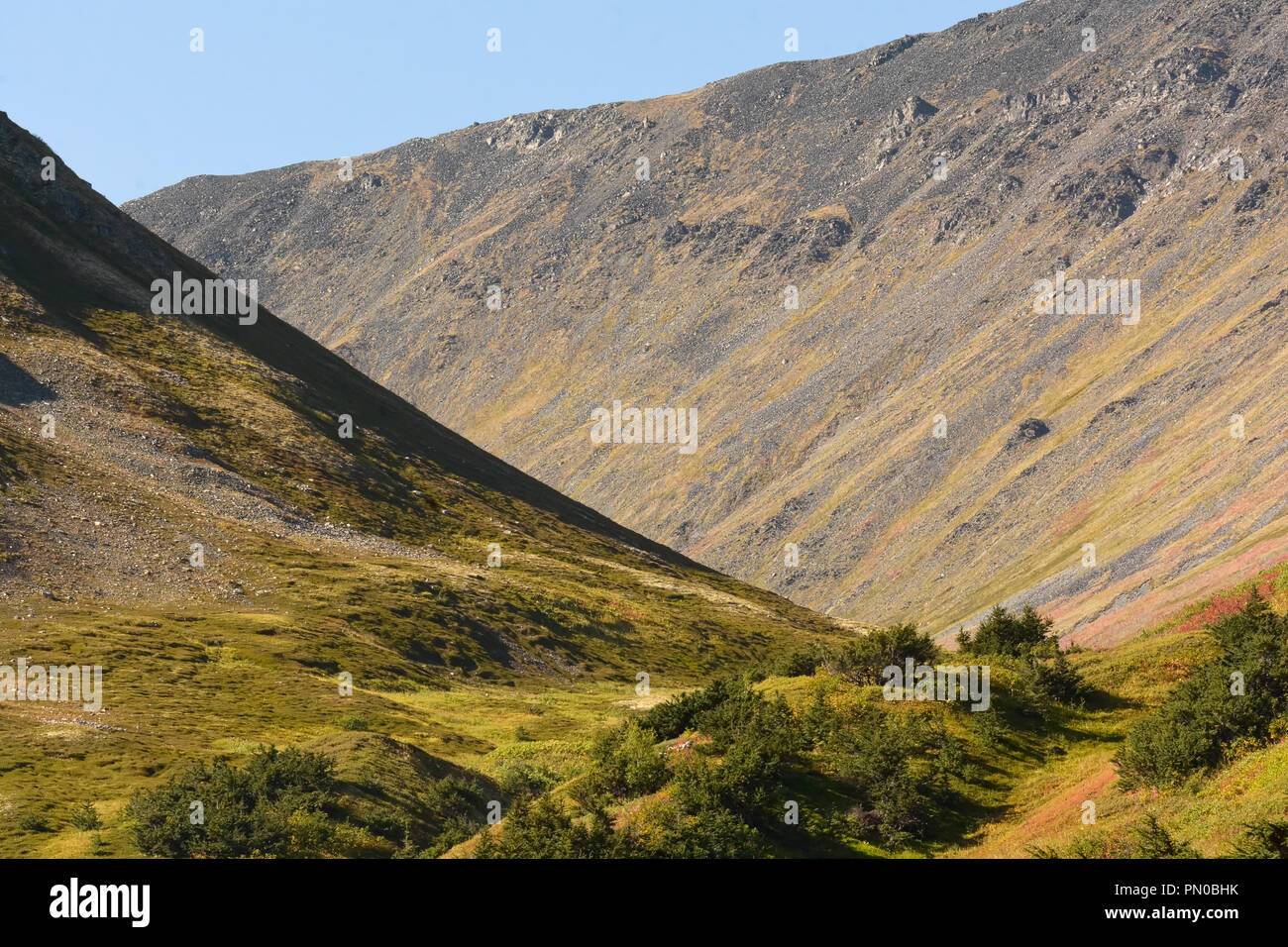 Barely covered steep hillsides define a sharp deep valley sweeping around a  bend Stock Photo - Alamy