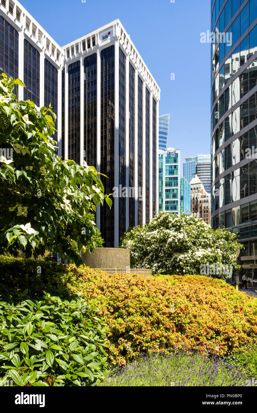 High rise modern architecture in Burrard Street in downtown Vancouver, British Columbia, Canada - BDC bank on the left Stock Photo