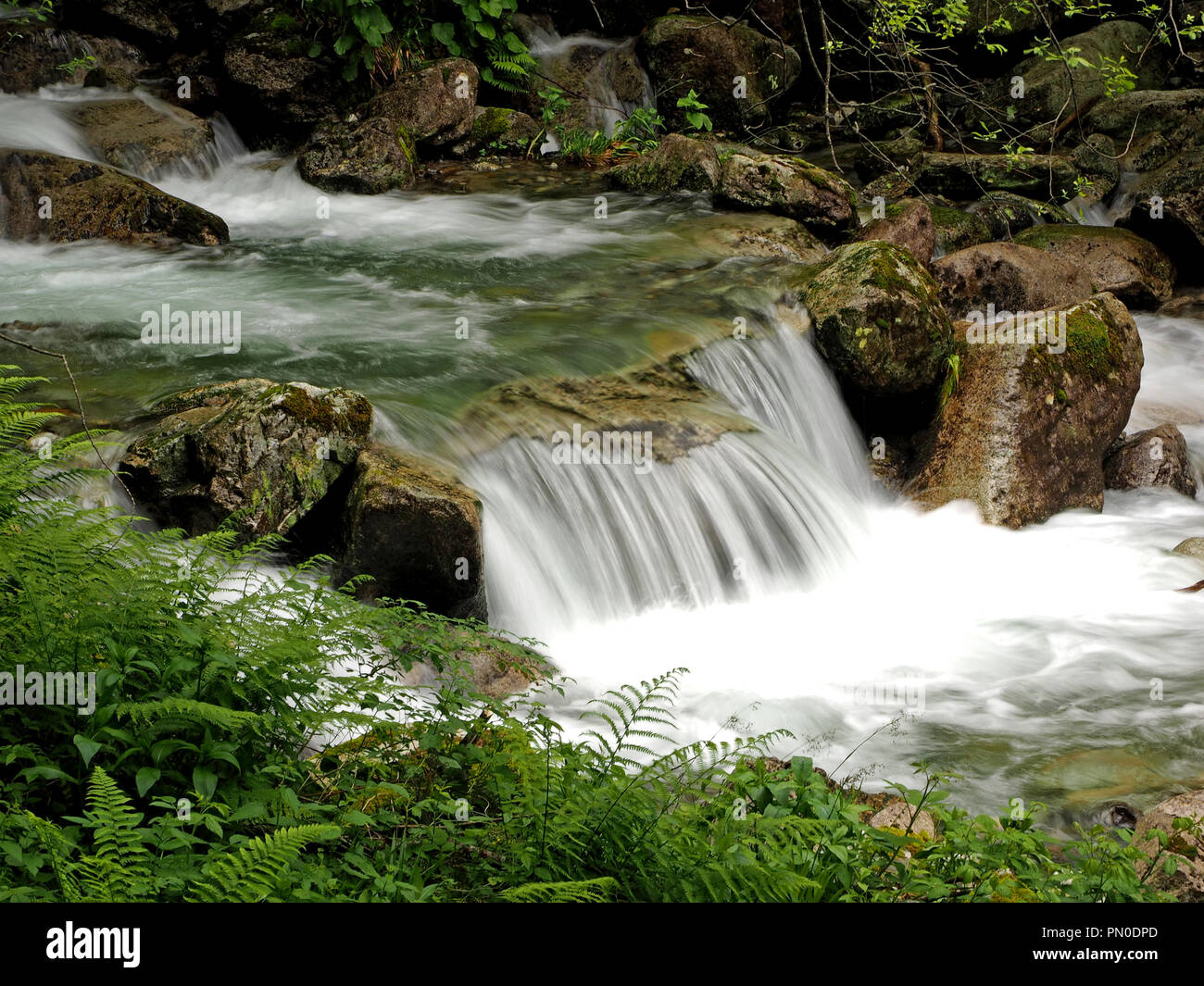 soft white rushing water of a mountain stream in the Haut Couserans area of the Ariege Pyrenees of France cascading between rocky banks and vegetation Stock Photo