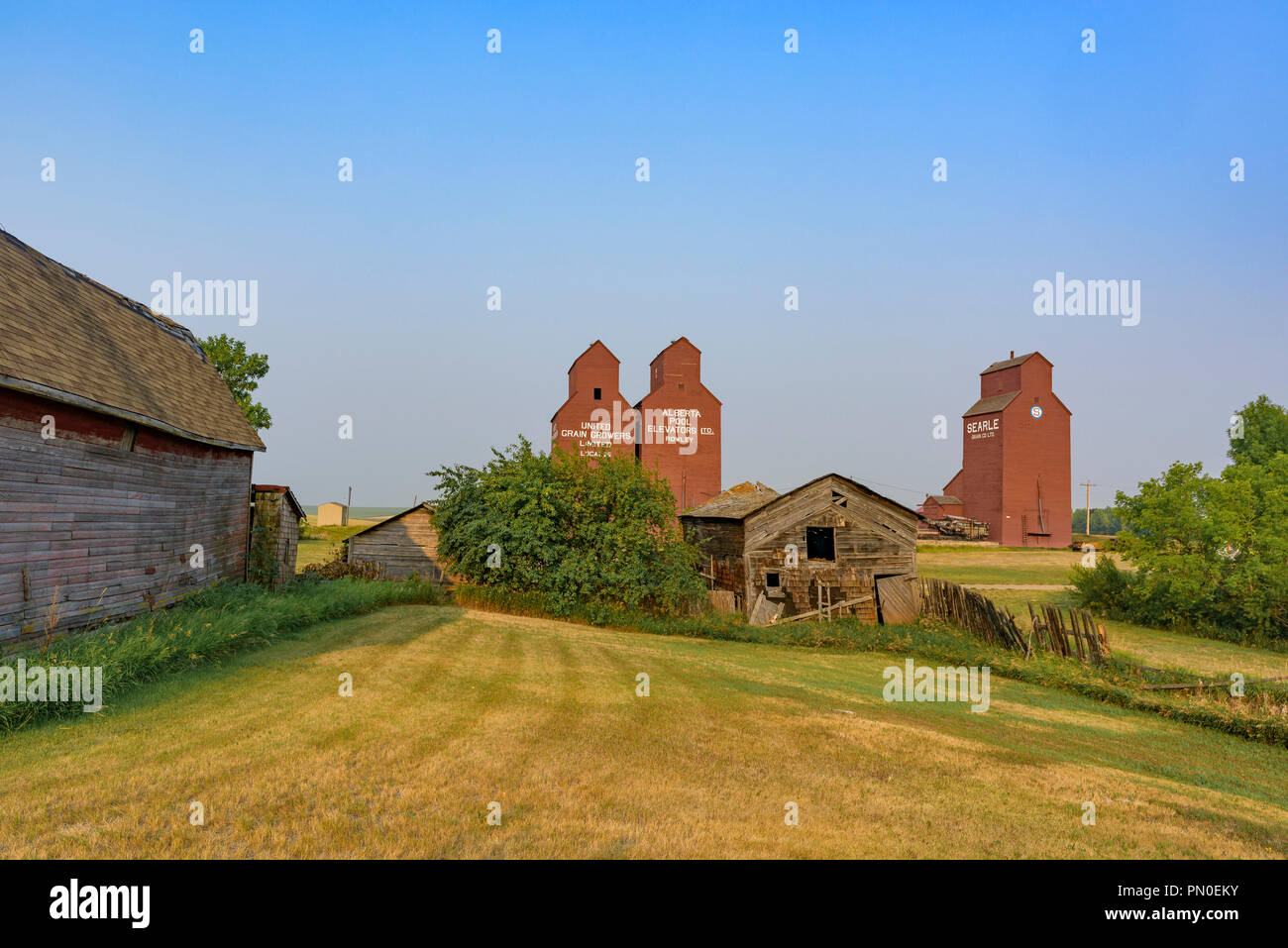 Heritage Grain Elevators, Rowley, Alberta, Canada. Stock Photo