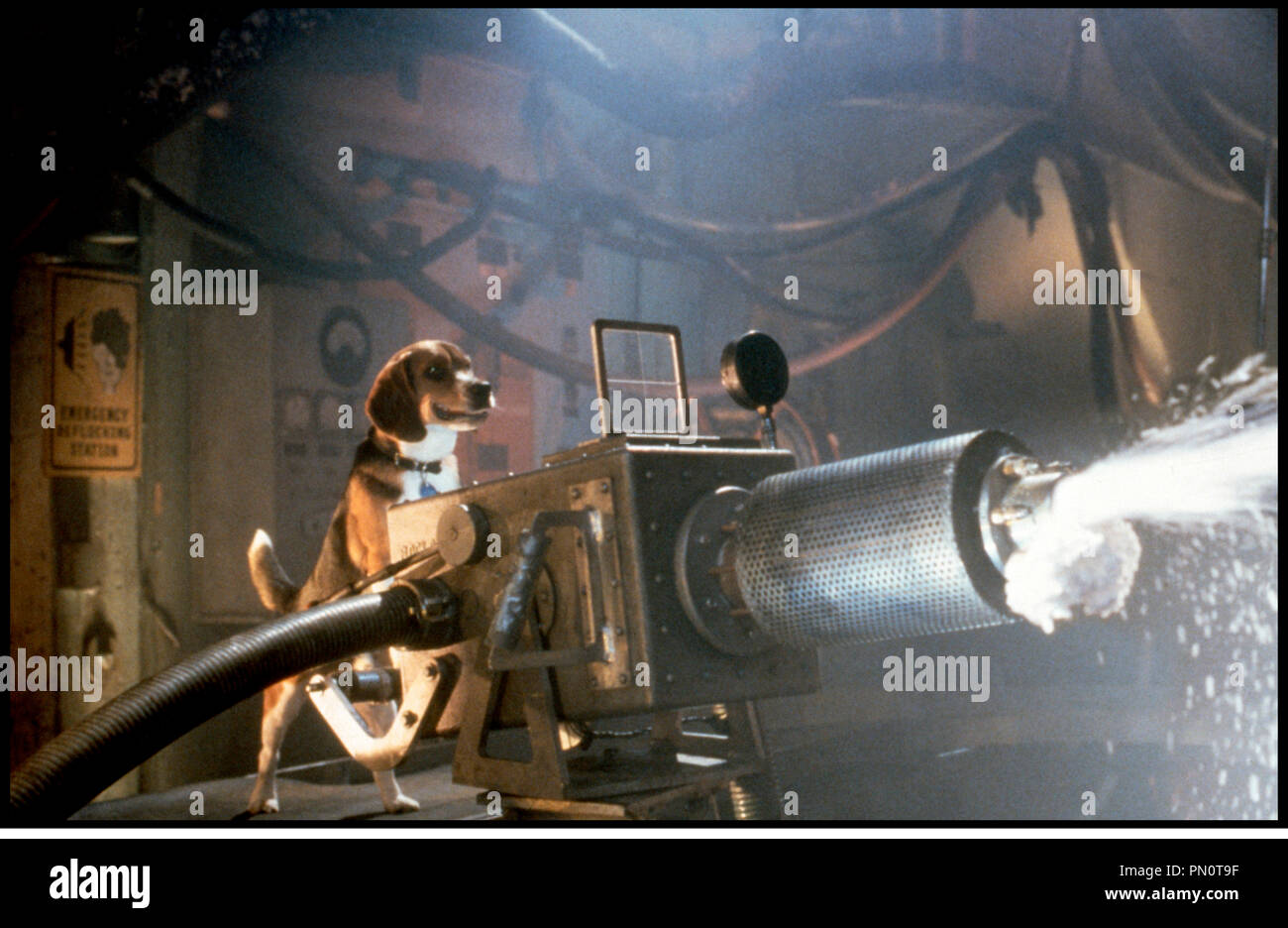 Atobey Maguire Stock Photos Atobey Maguire Stock Images