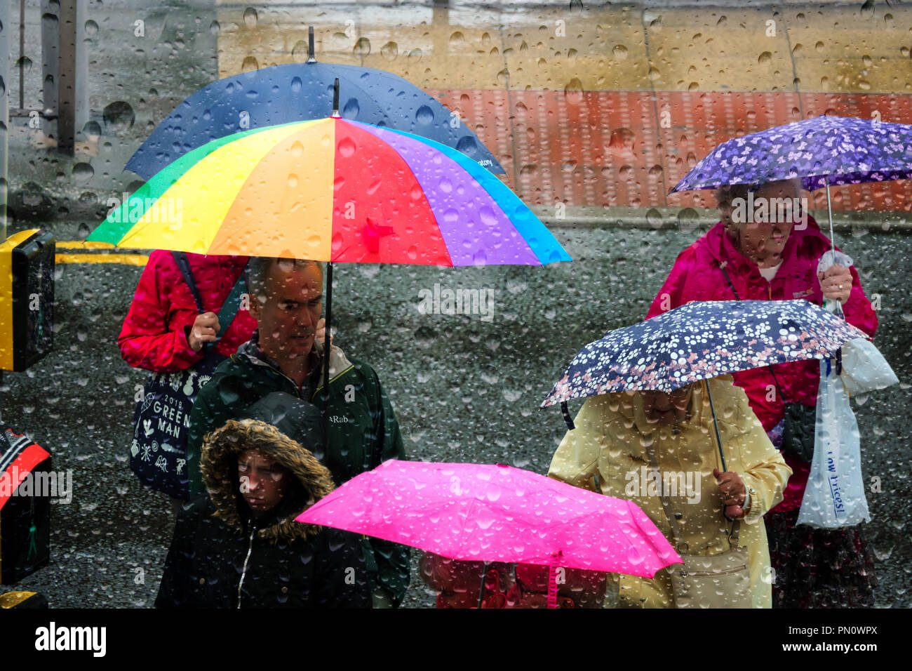 Looking through a raindrop covered window at people caught in heavy autumn rain shower with their umbrellas up. Stock Photo