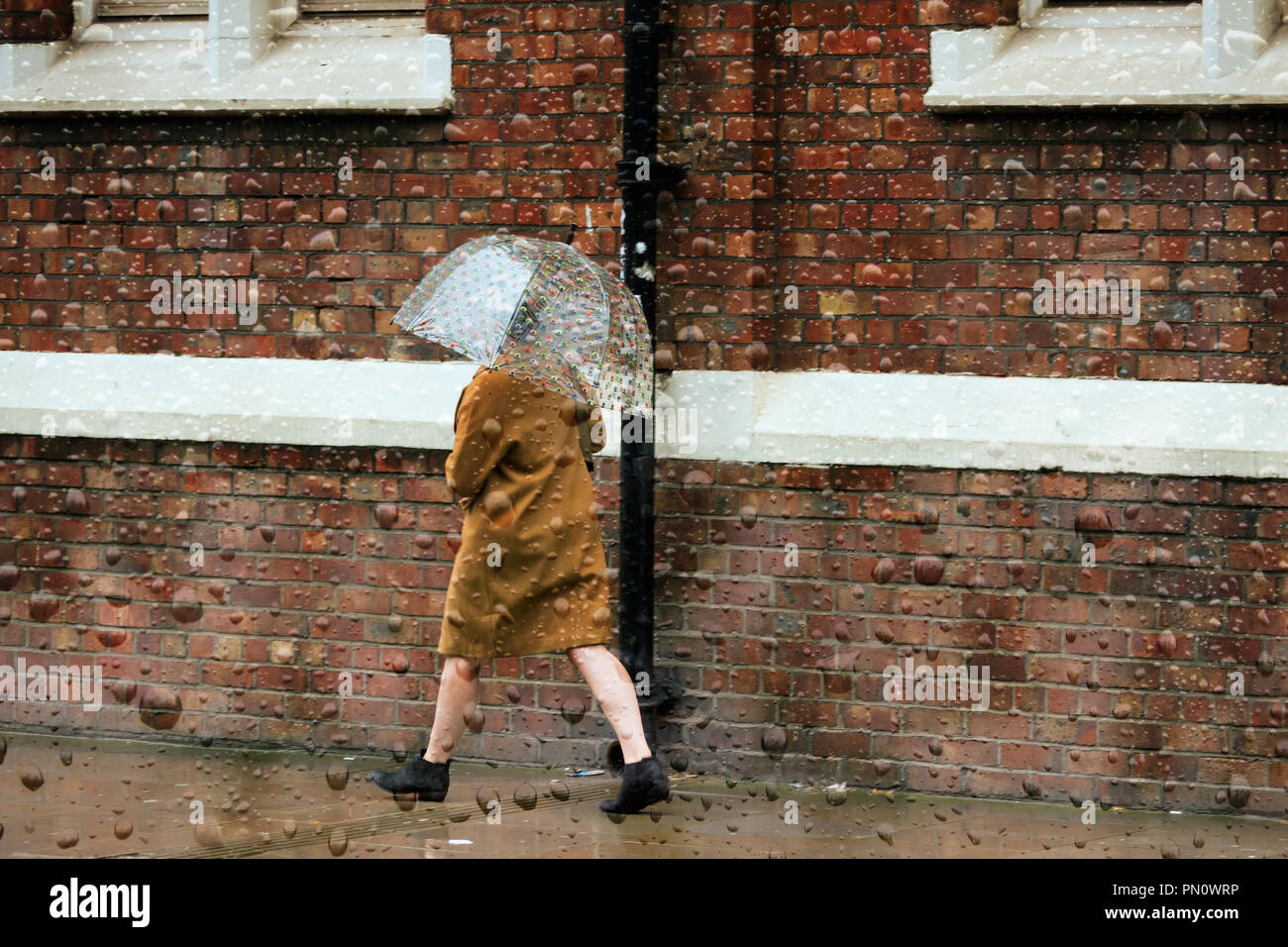 Looking through a raindrop covered window at a woman caught in heavy autumn rain shower with an