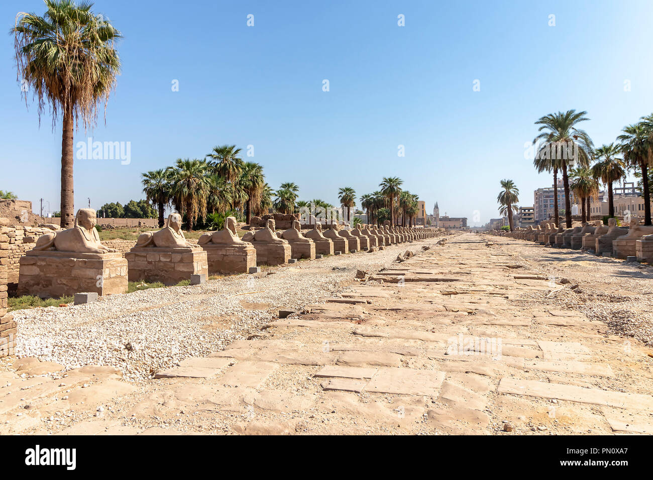 Sphinxes road at entrance to Luxor Temple, a large Ancient Egyptian