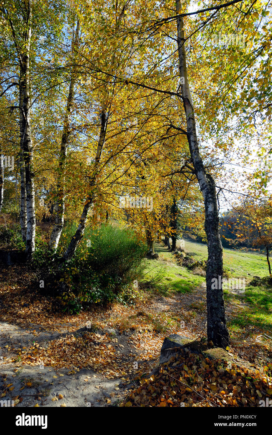 Montalegre hi-res stock photography and images - Alamy