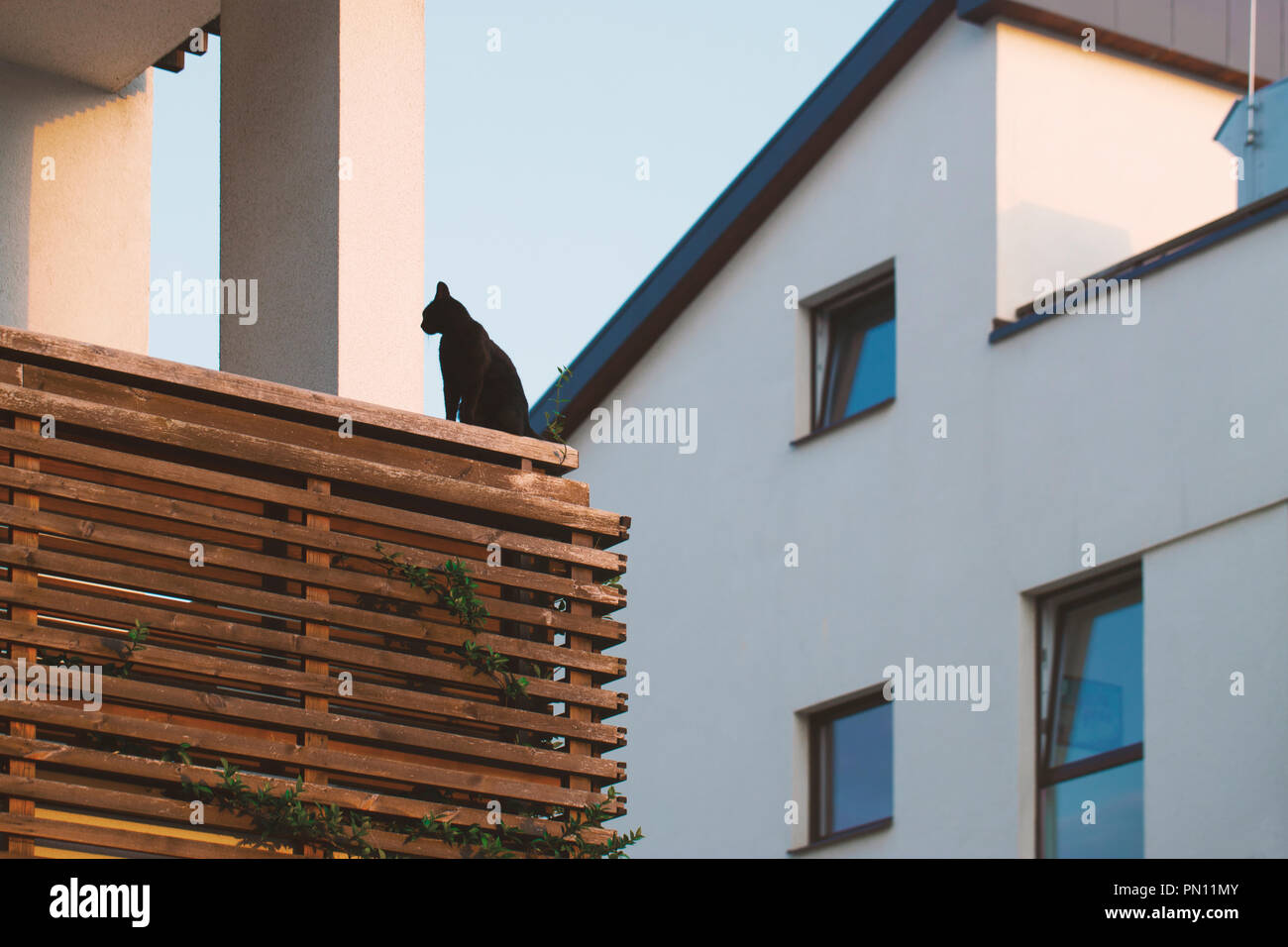 A black cat is sitting on a balcony of the house Stock Photo - Alamy