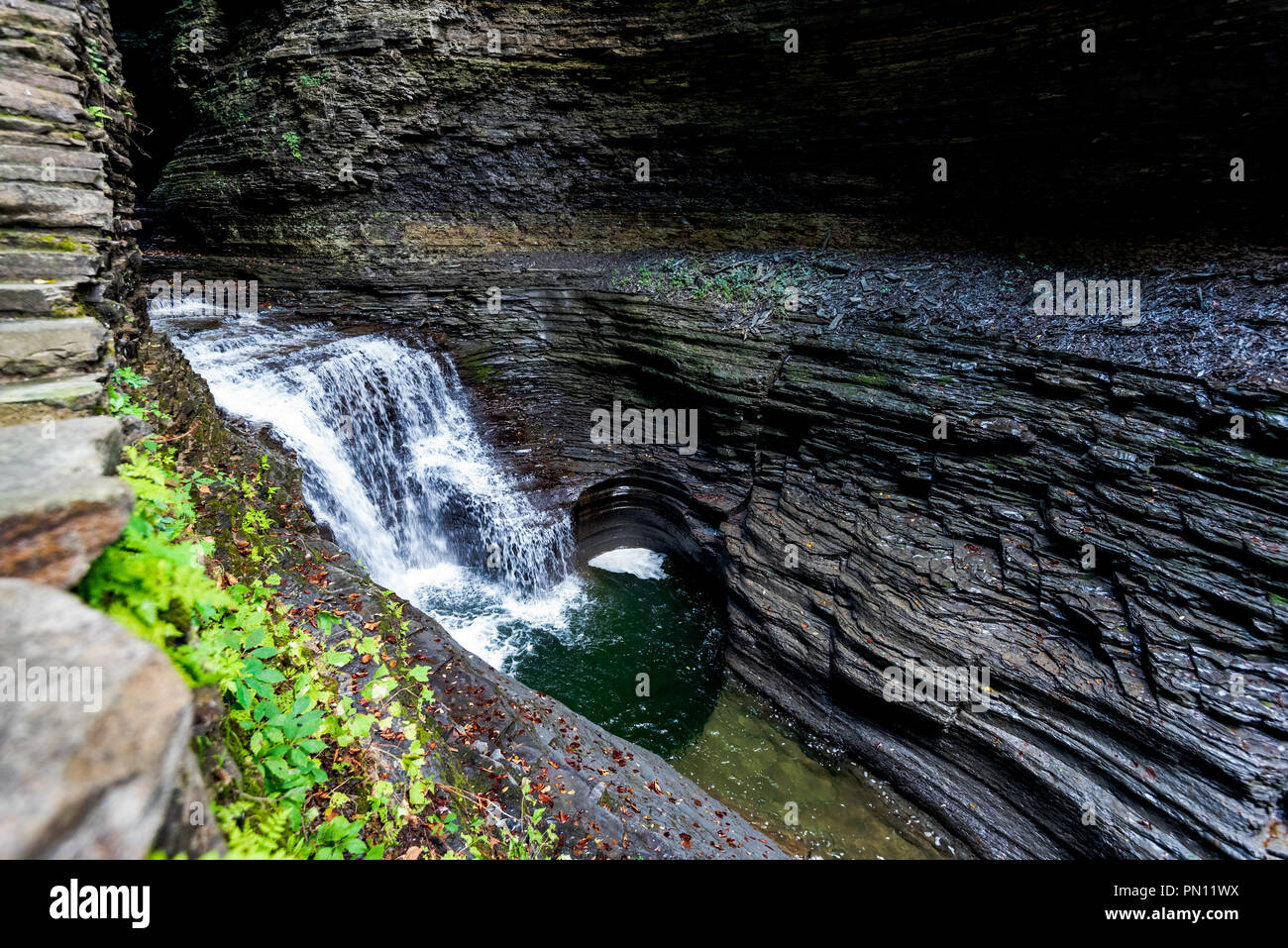 Watkins Glen State Park Gorge Trail