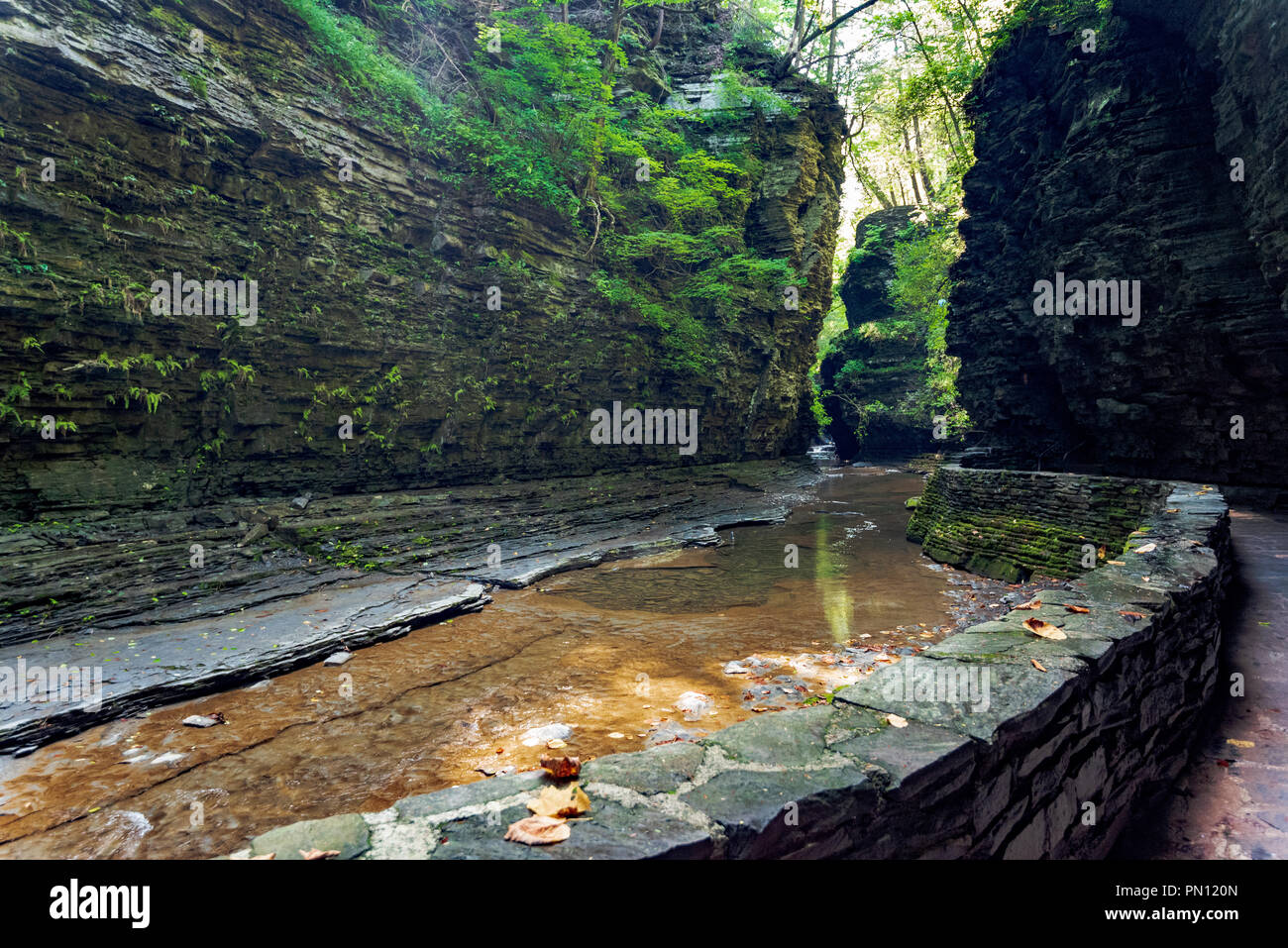 Watkins glen state park gorge trail glen cathedral stock photo alamy