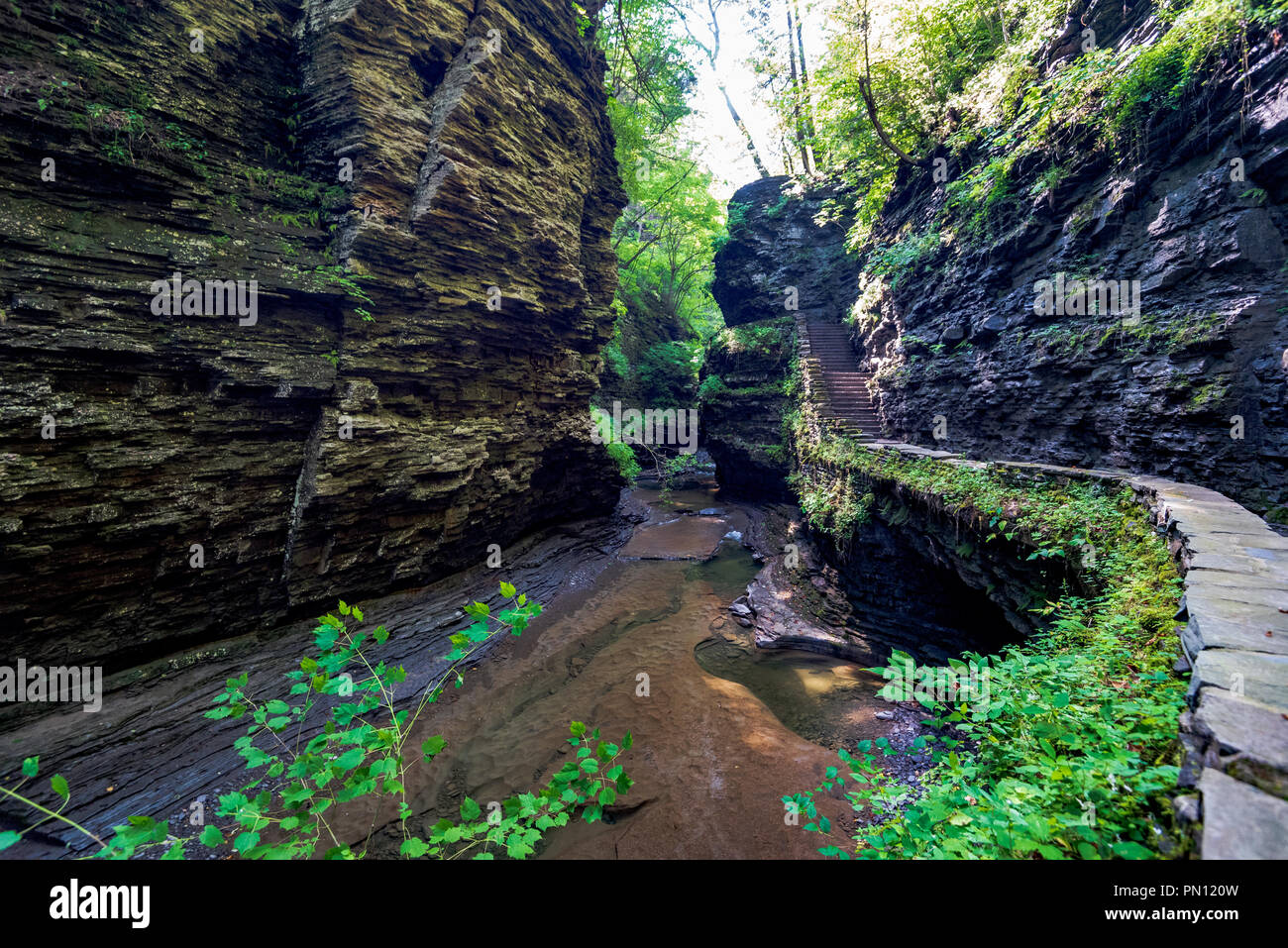Watkins glen state park gorge trail glen cathedral stock photo alamy