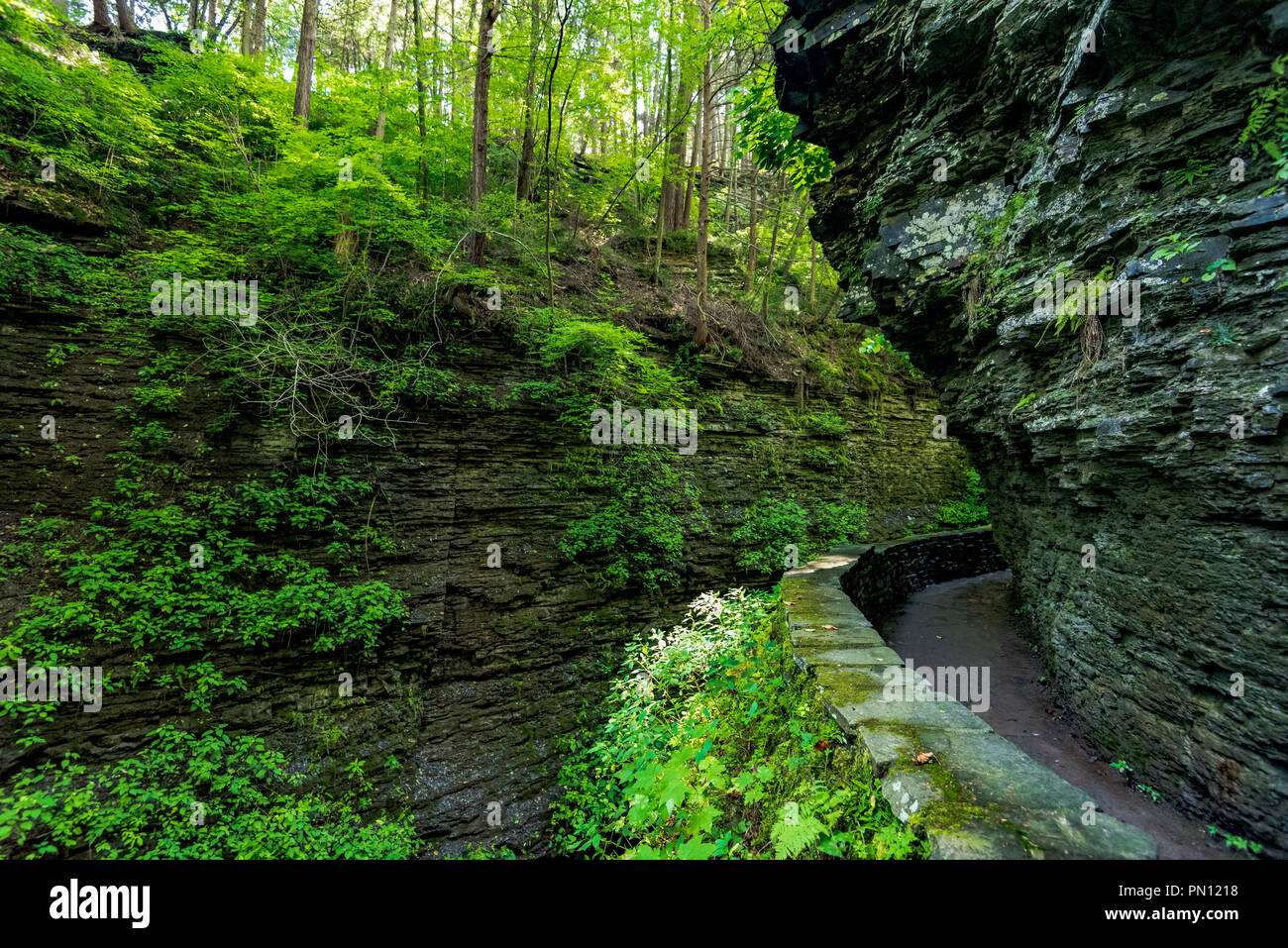 Watkins glen state park gorge trail glen cathedral stock photo alamy