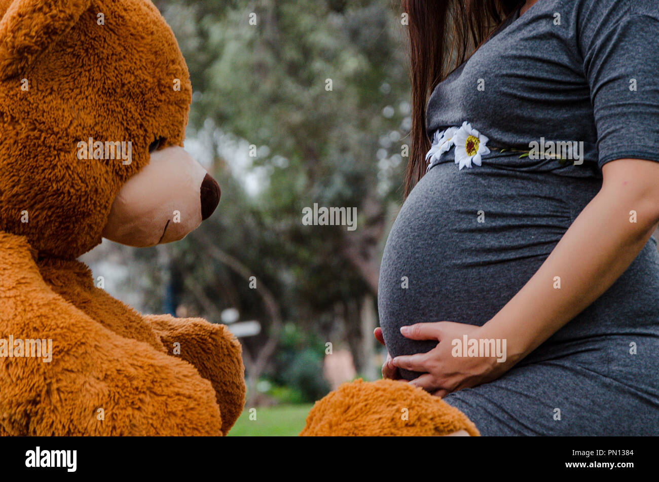 Mom And Baby Bear High Resolution Stock Photography and Images Alamy