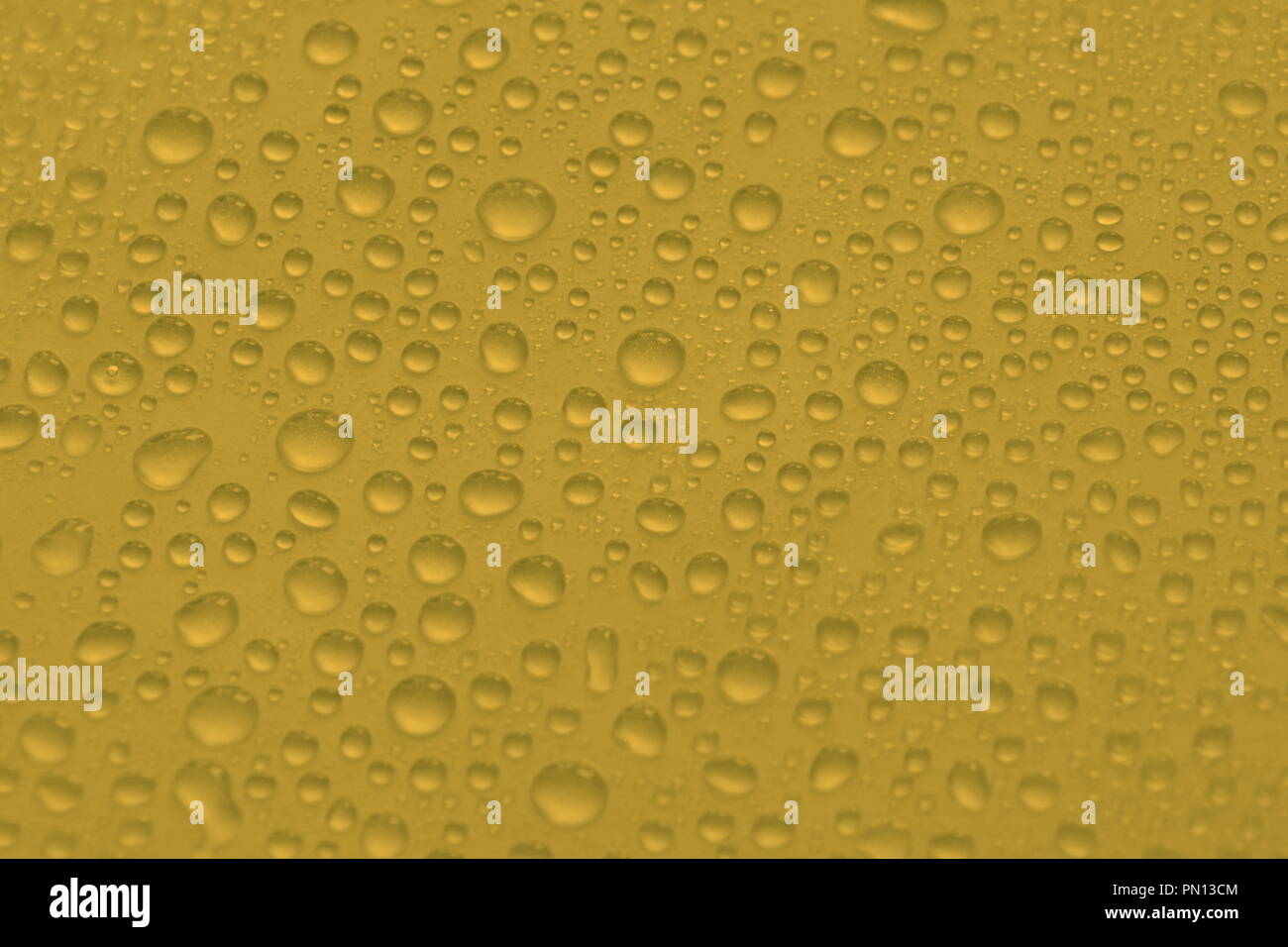natural water drops on yellow background texture golden color Stock ...
