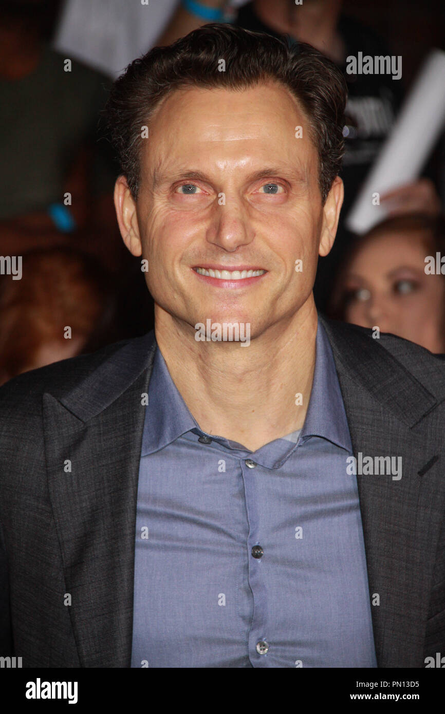 Anna goldwyn and tess goldwyn hi-res stock photography and images - Alamy