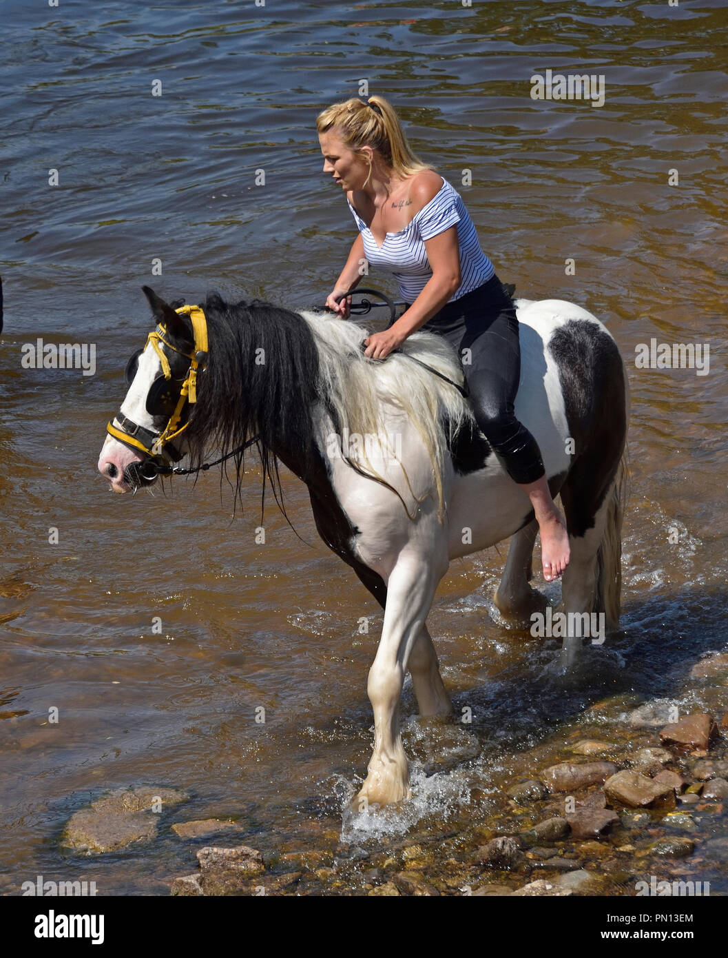 Gypsy Traveller girl riding horse in River Eden. Appleby Horse Fair 2018. Appleby-in-Westmorland, Cumbria, England, United Kingdom, Europe. Stock Photo
