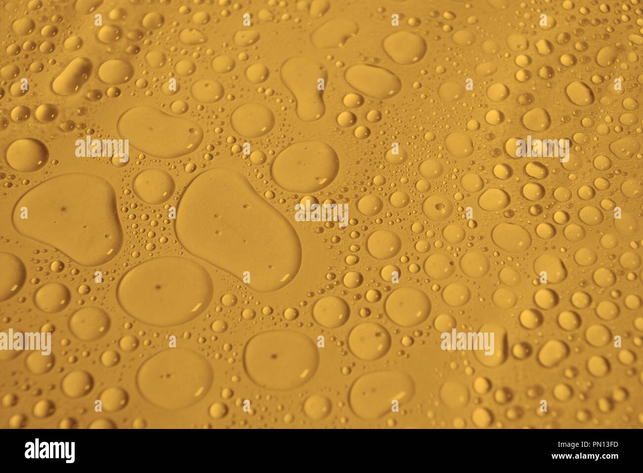 natural water drops on yellow background texture golden color Stock ...