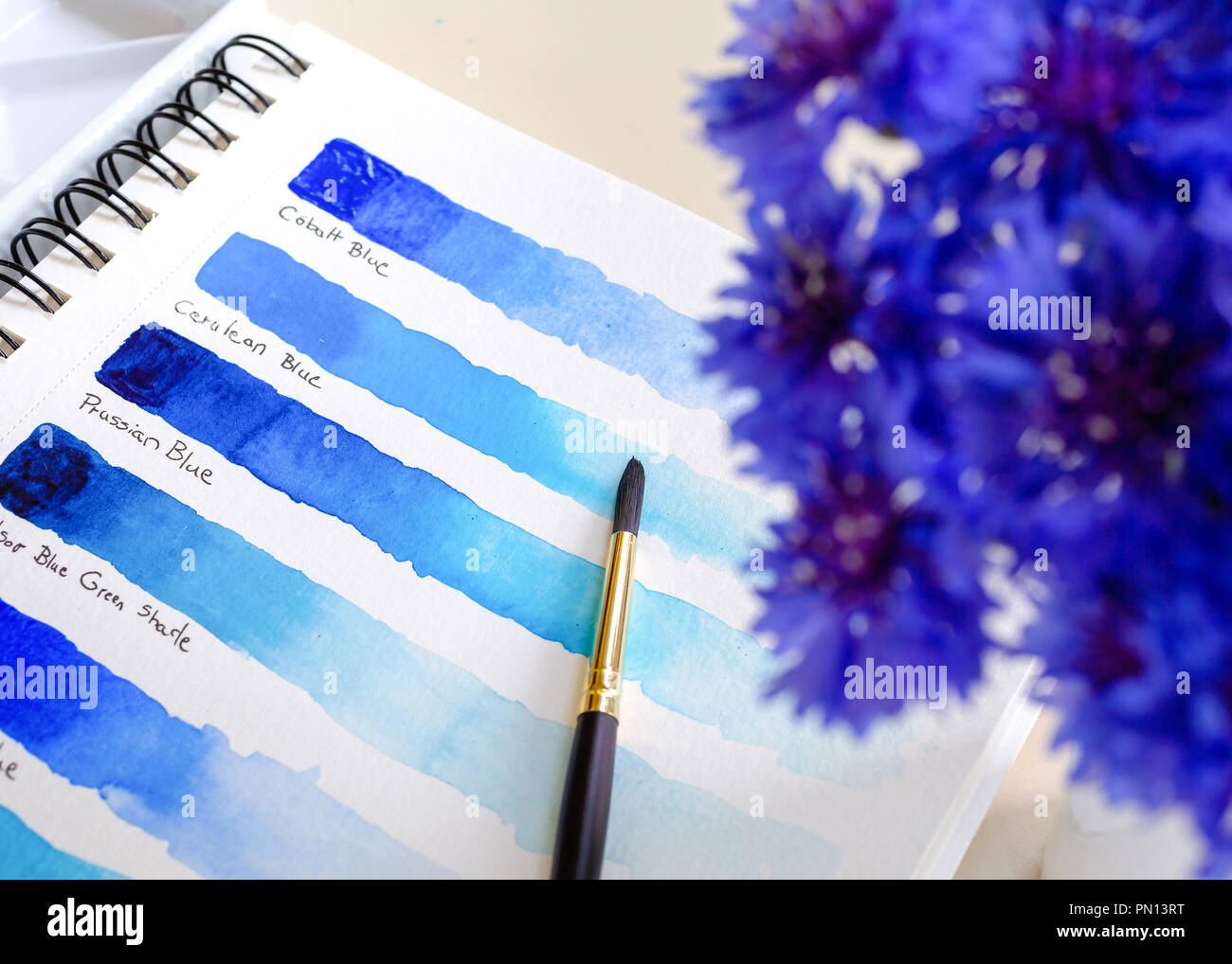Various blue watercolour paints in the palette and on paper. With a vase of blue bachelor button flowers. Stock Photo