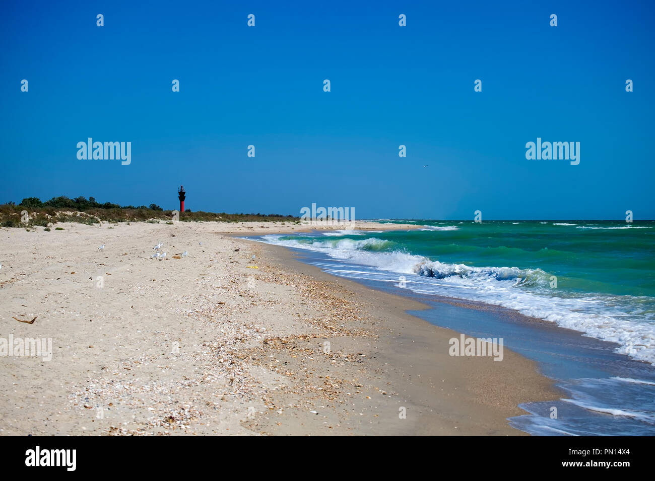 Sea waves lick the sandy coast. To the left is a lighthouse in the distance (Ukraine, Black Sea, Rasseika) Stock Photo