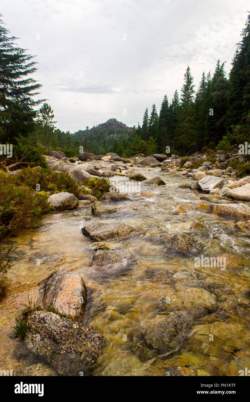 Shallow River covered with rocks in the forest Stock Photo - Alamy