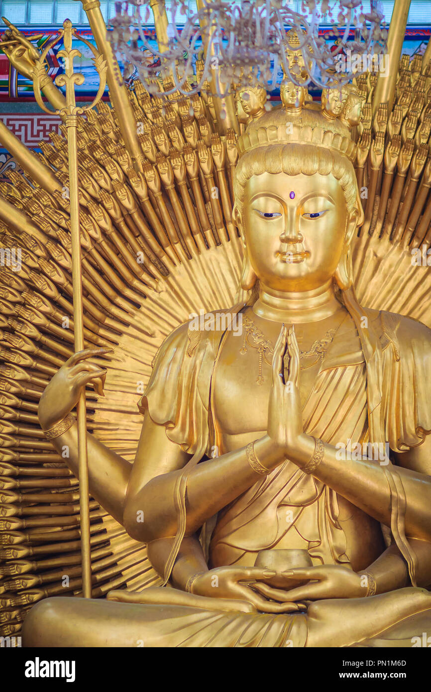 Golden statue of Guan Yin with 1000 hands. Guanyin or Guan Yin is an