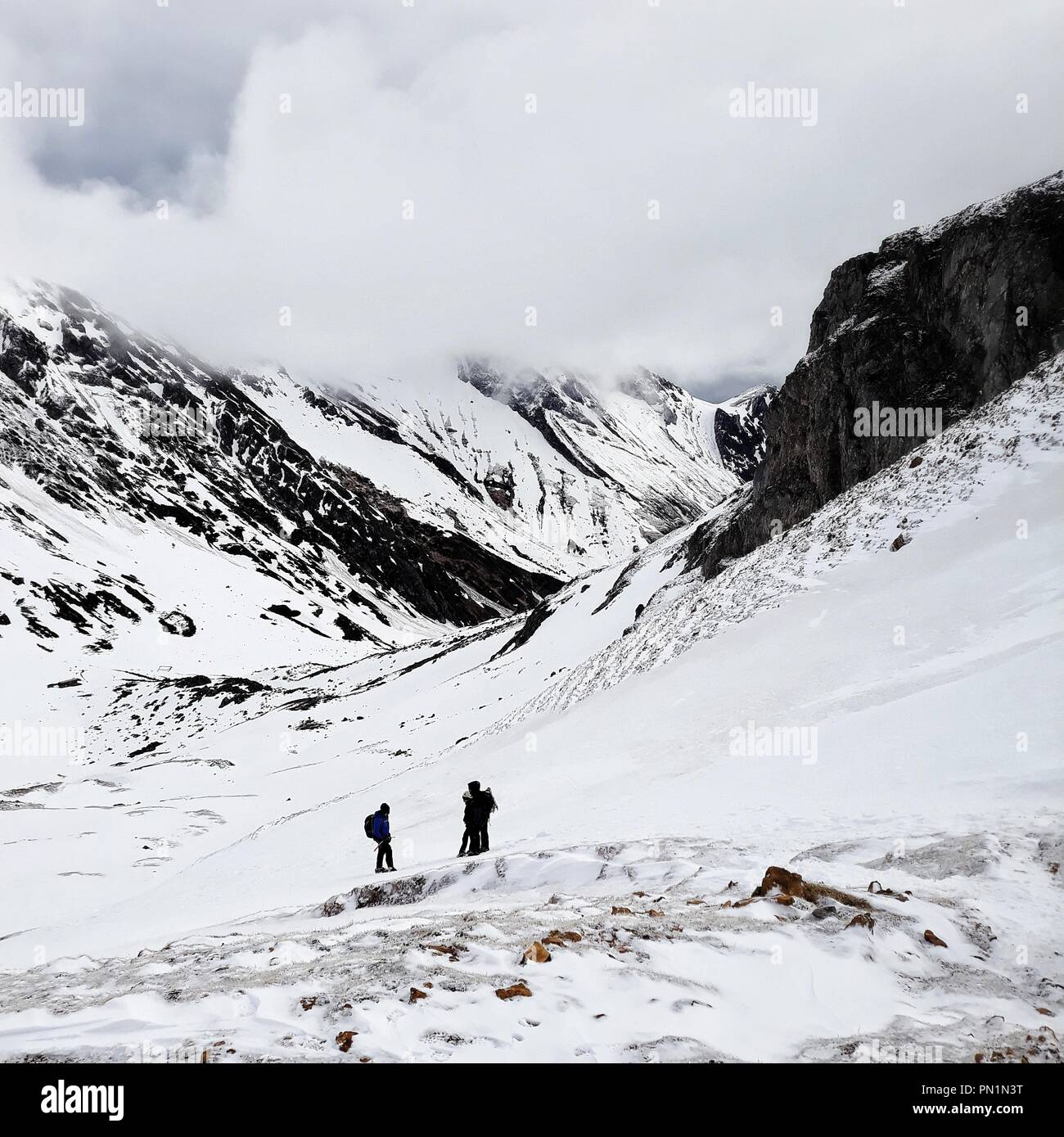 A group of alpinists trek in the snowy mountains. Stock Photo