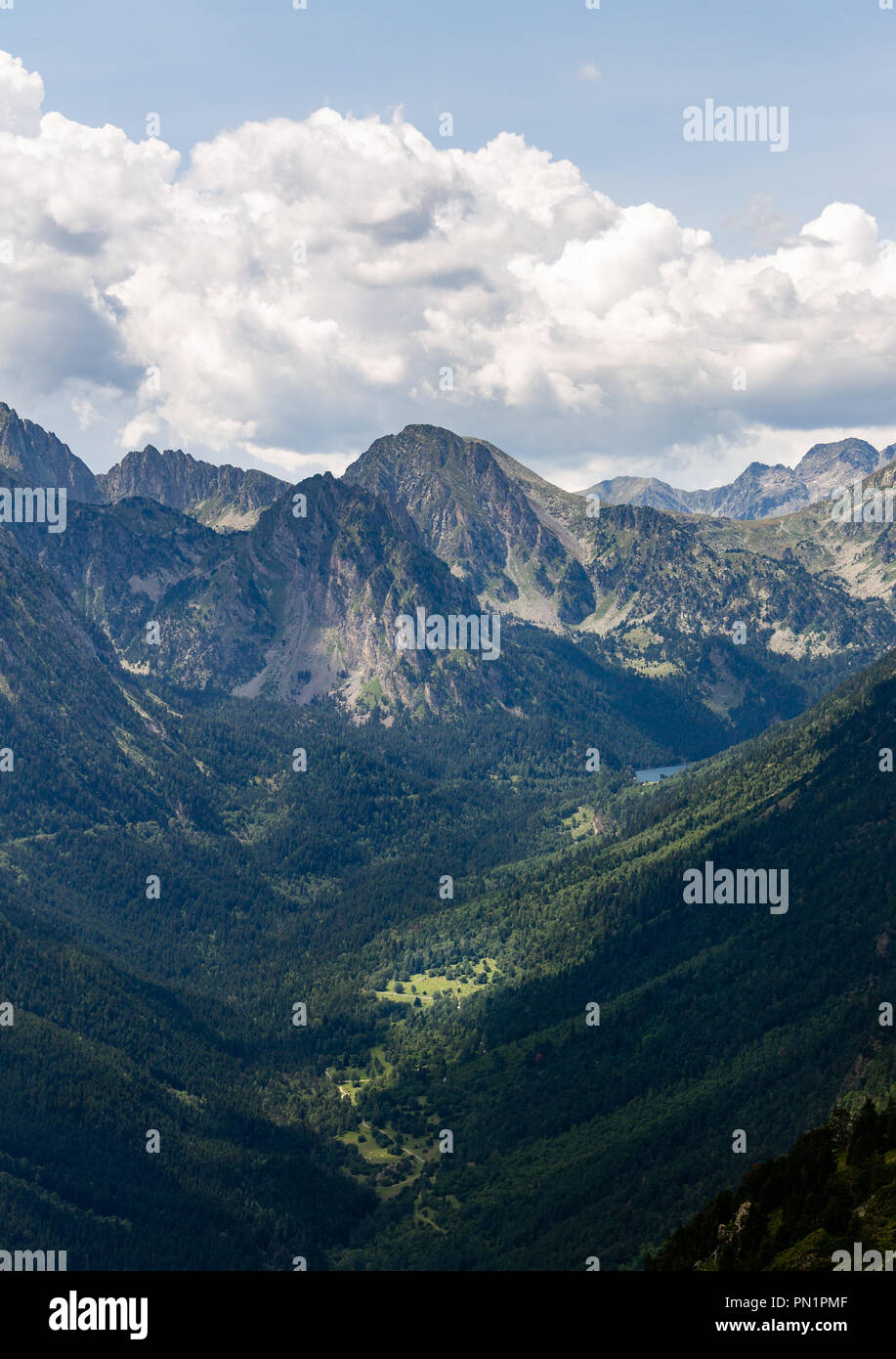 A mountain valley with various trees along the hillsides and distant peaks in the horizon. Stock Photo