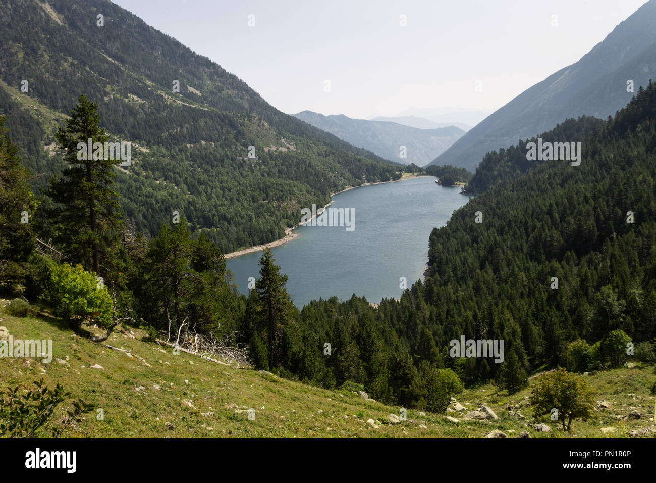 A lake is surrounded by a dense forest in the hillside. Stock Photo