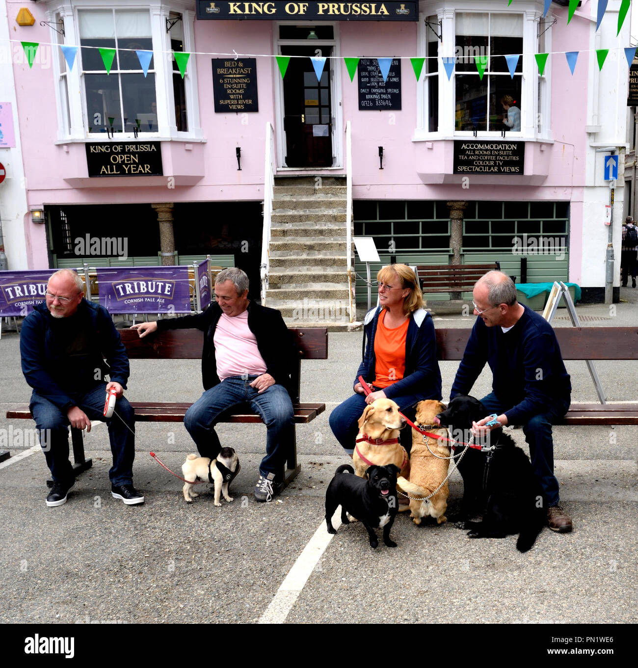 Dogs and people at Town Quay, Falmouth, Cornwell, England Stock Photo