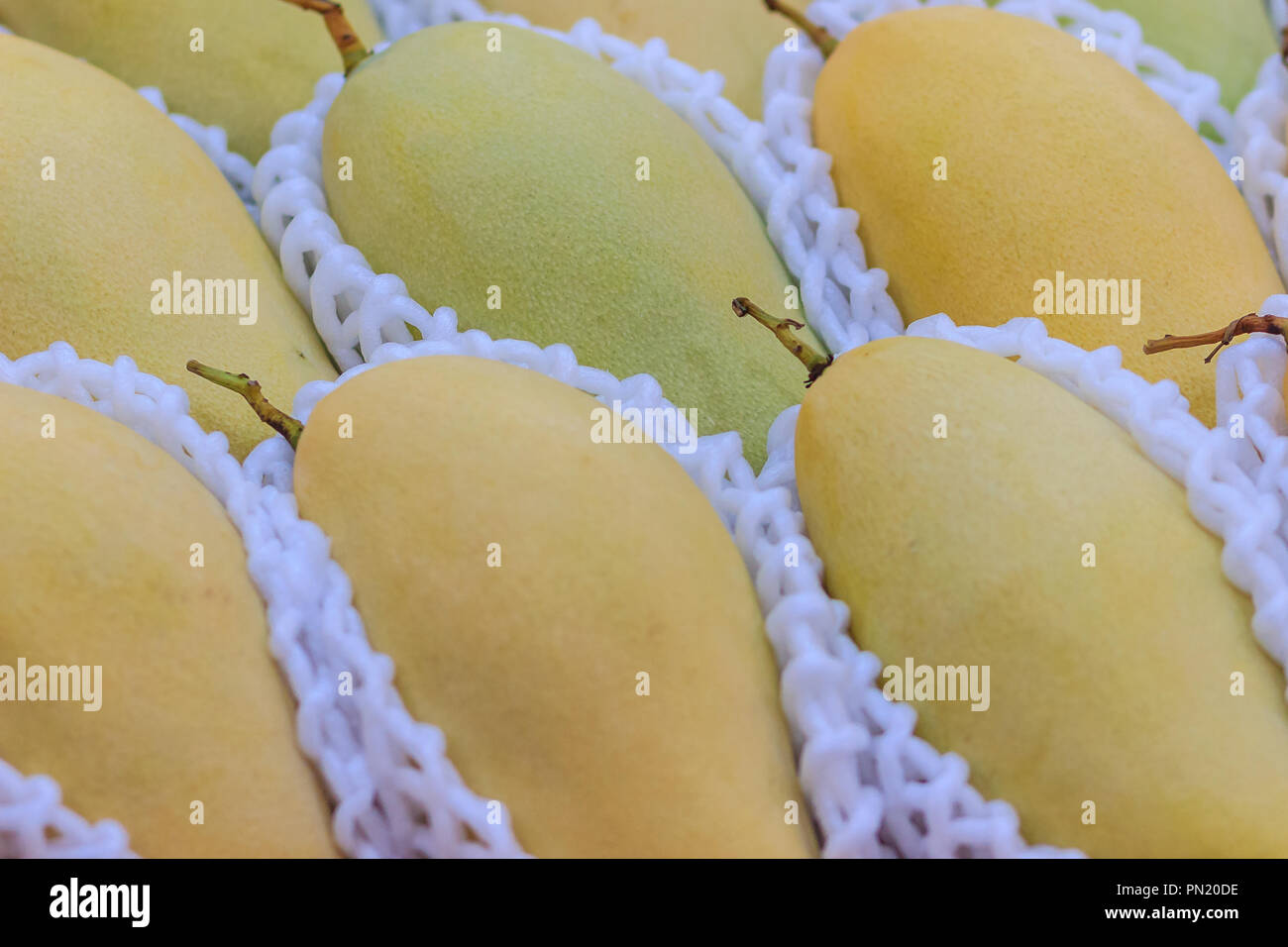 Organic Nam Dok Mai mangoes for sale at the fruit market. The Nam Doc