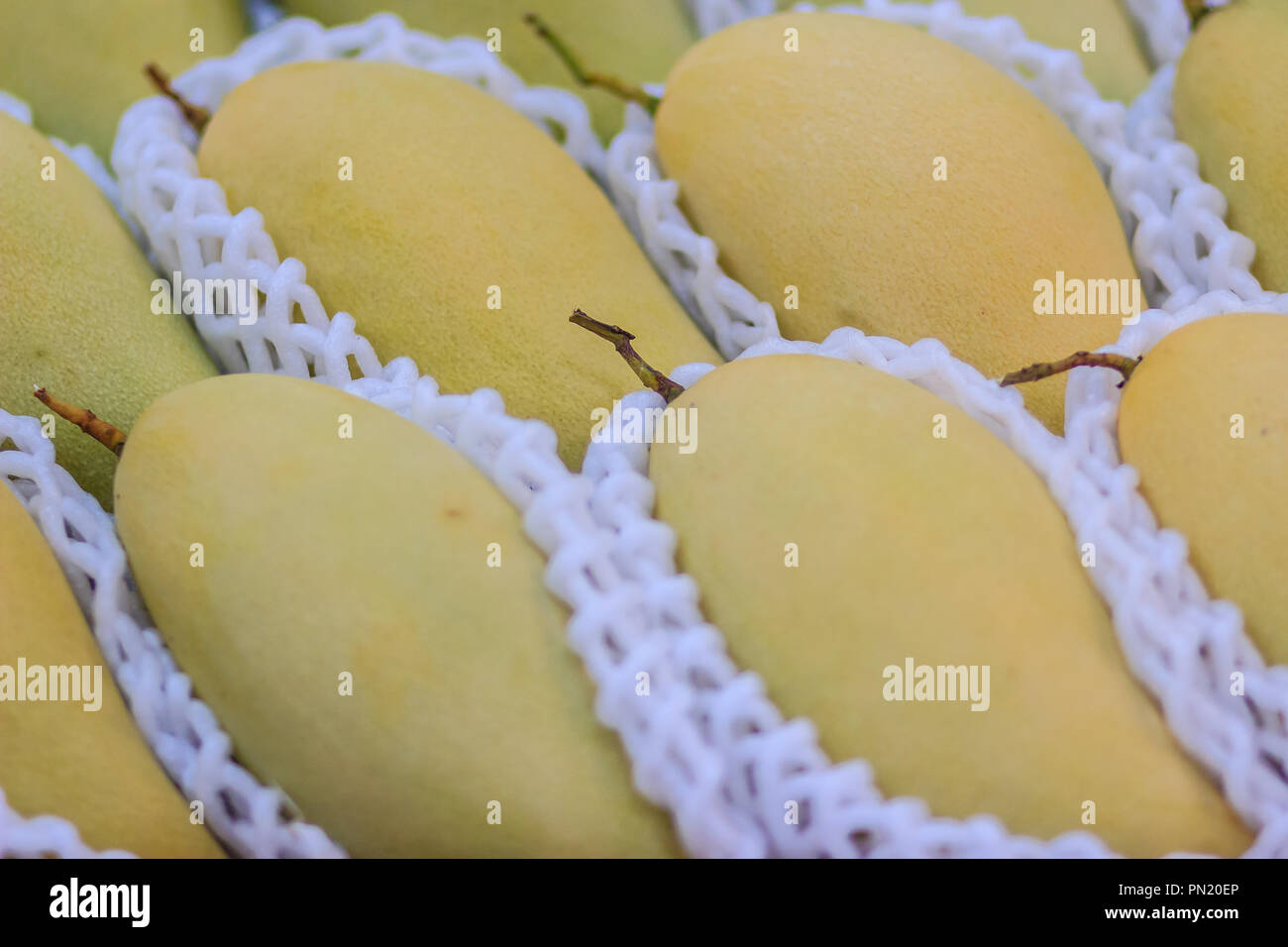 Organic Nam Dok Mai mangoes for sale at the fruit market. The Nam Doc